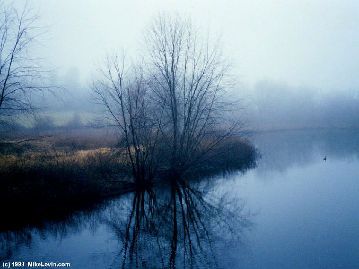 Fog Over Lake Wallpapers