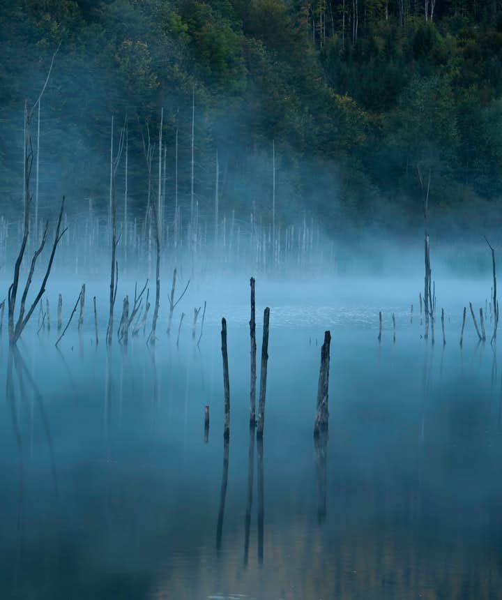 Fog Over Lake Wallpapers