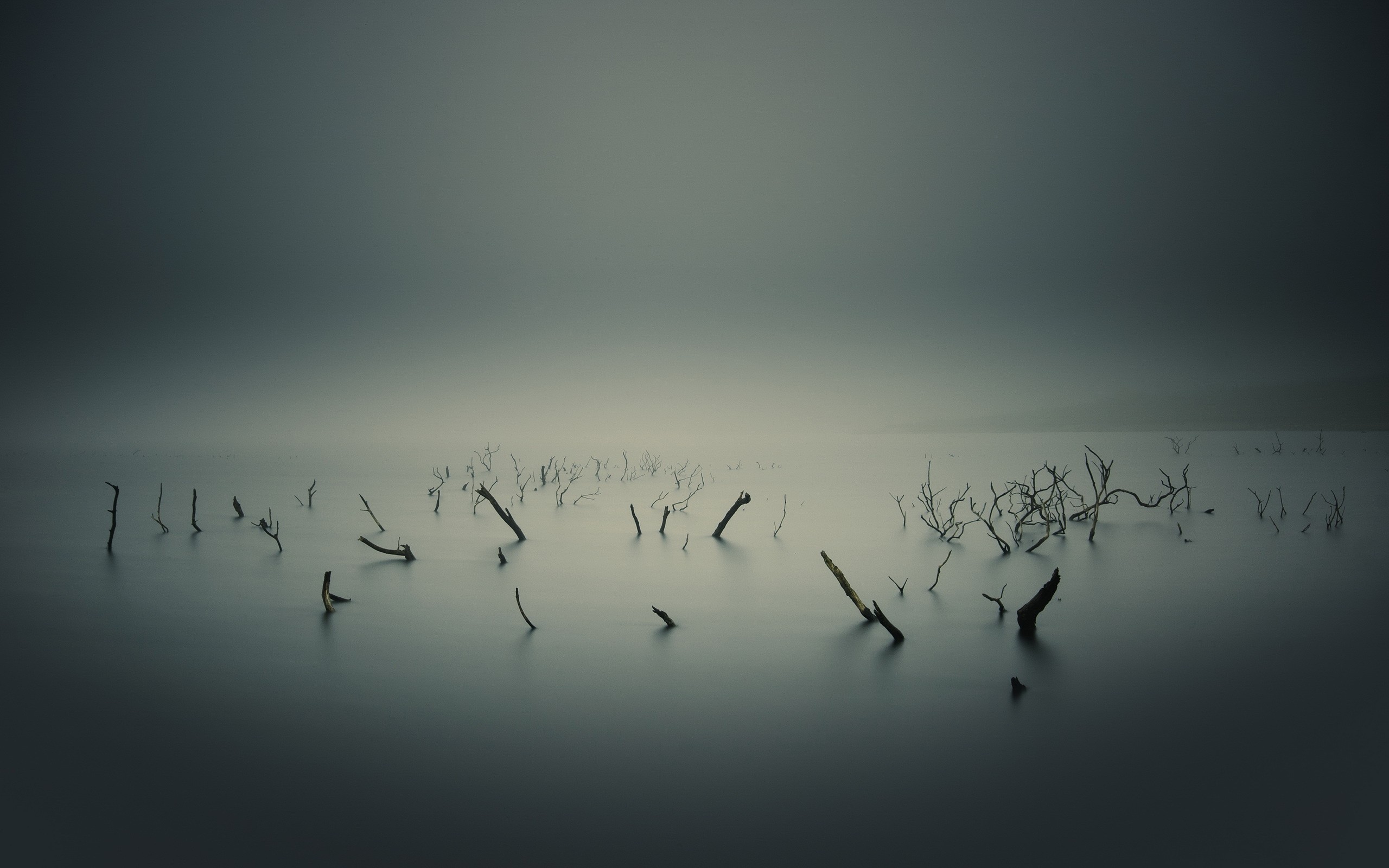 Fog Over Lake Wallpapers