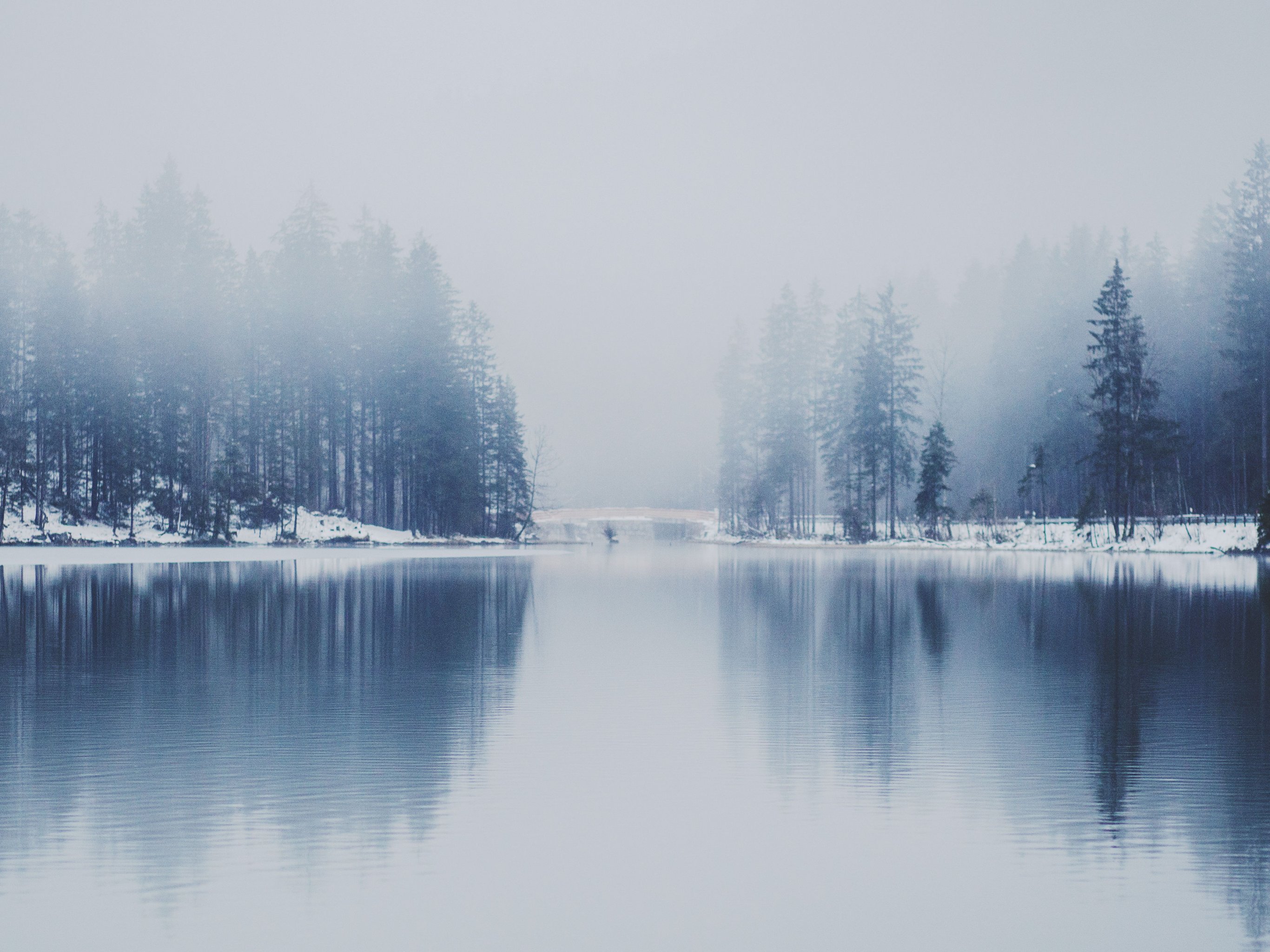 Foggy Lake 8K Wallpapers