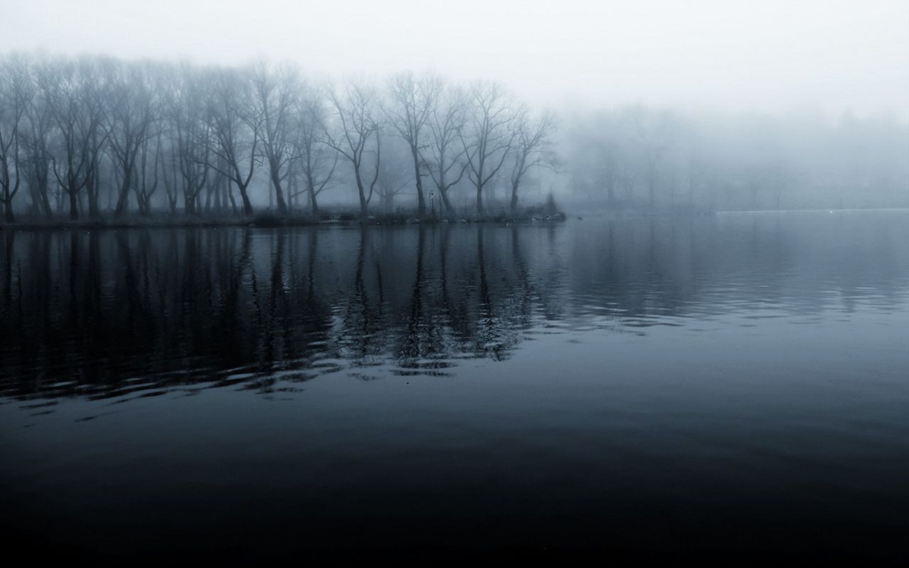 Foggy Lake 8K Wallpapers