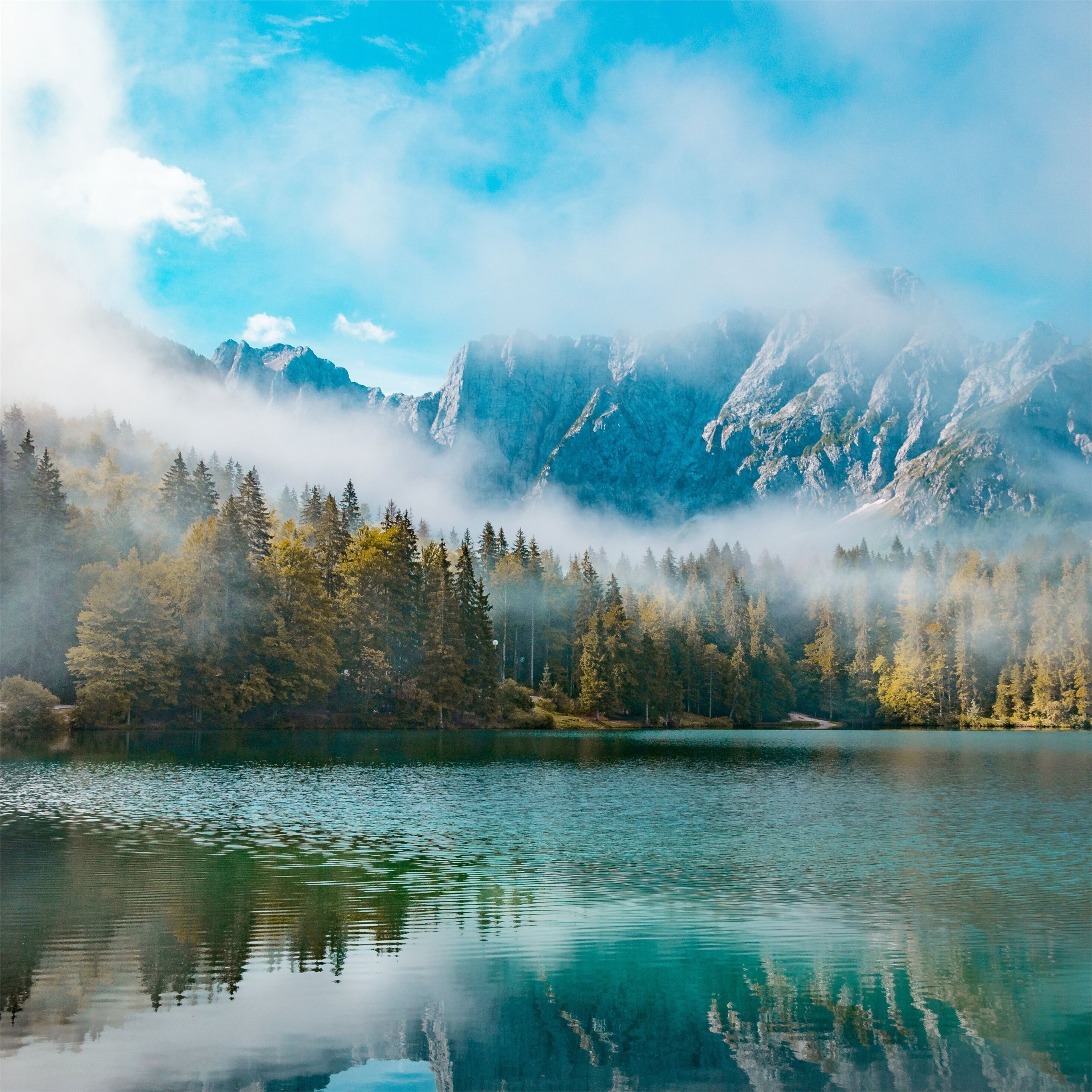 Foggy Lake 8K Wallpapers