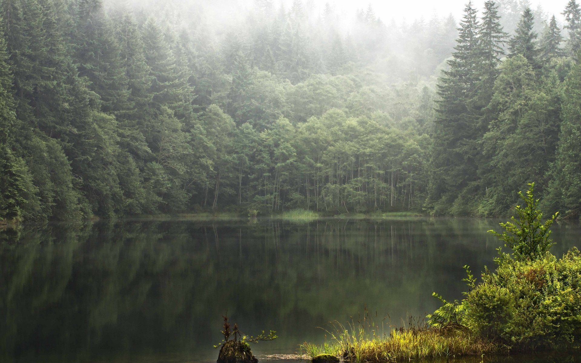 Foggy Lake 8K Wallpapers