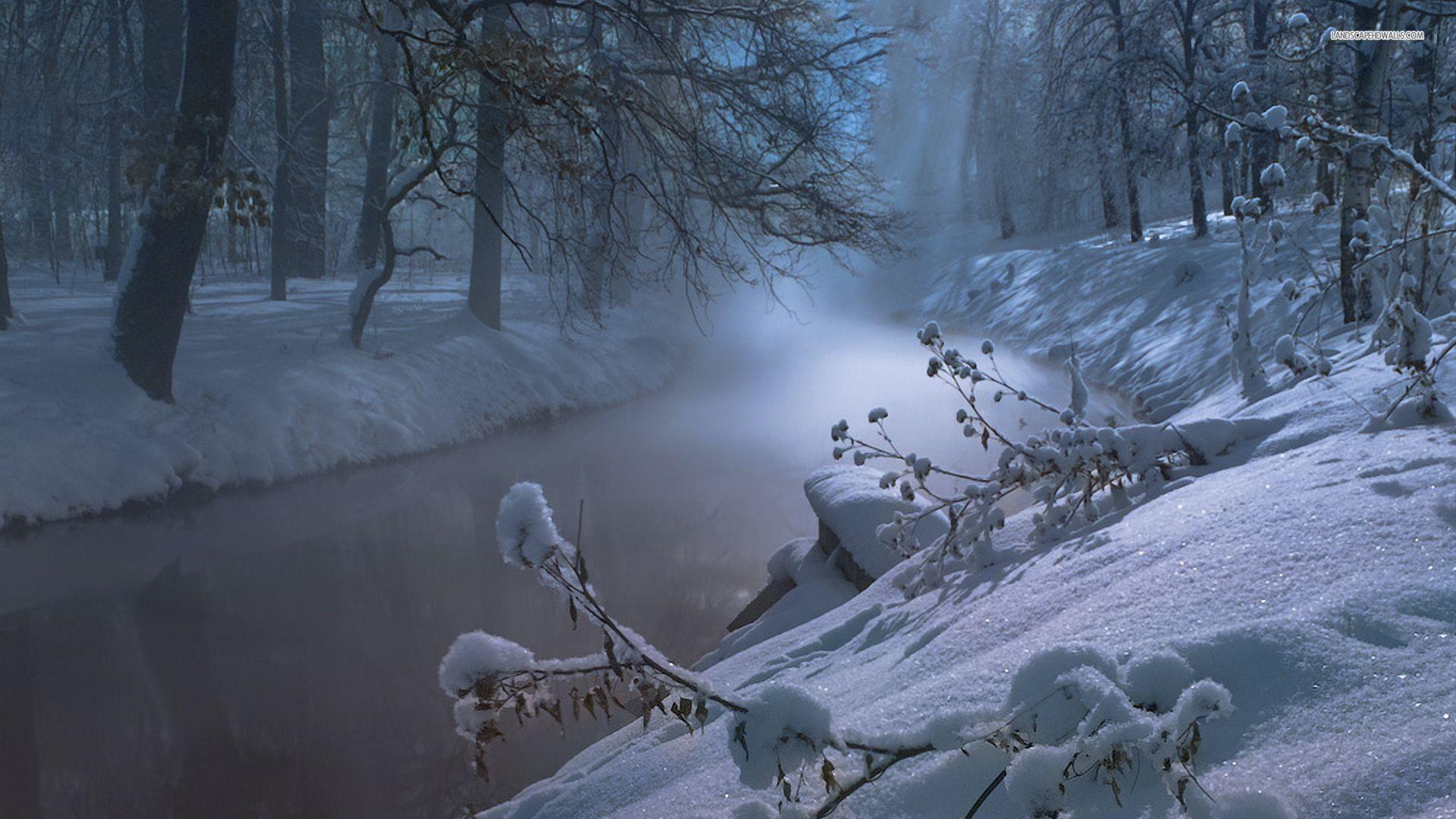 Fogy Forest Winter Day Wallpapers