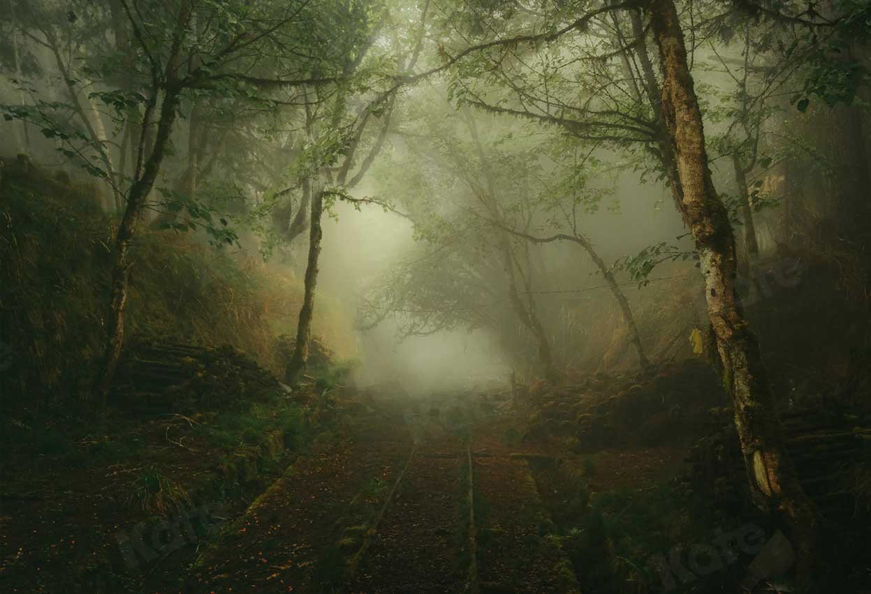 Fogy Landscape Forest Wallpapers