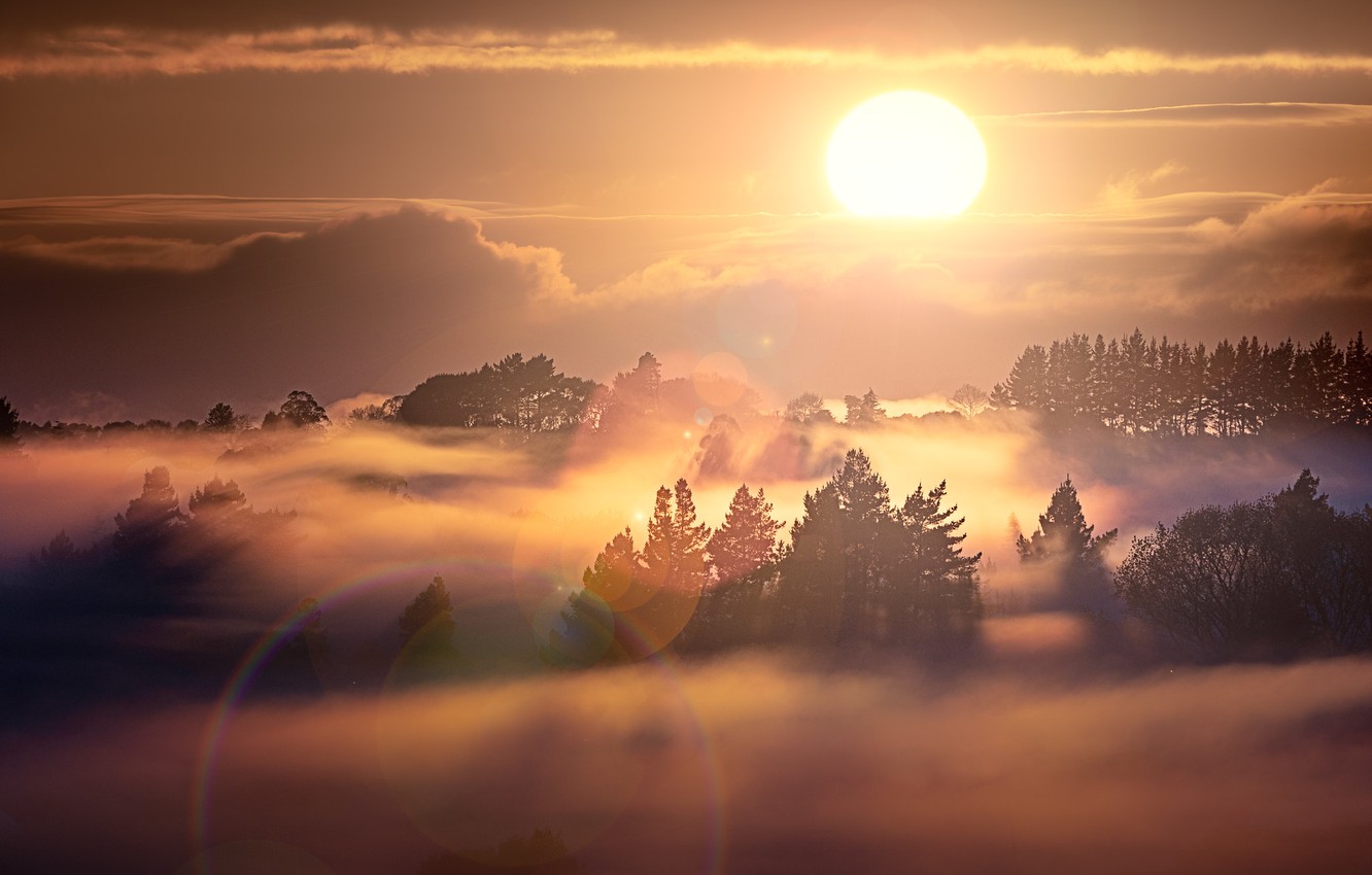 Fogy Sunrise Wallpapers