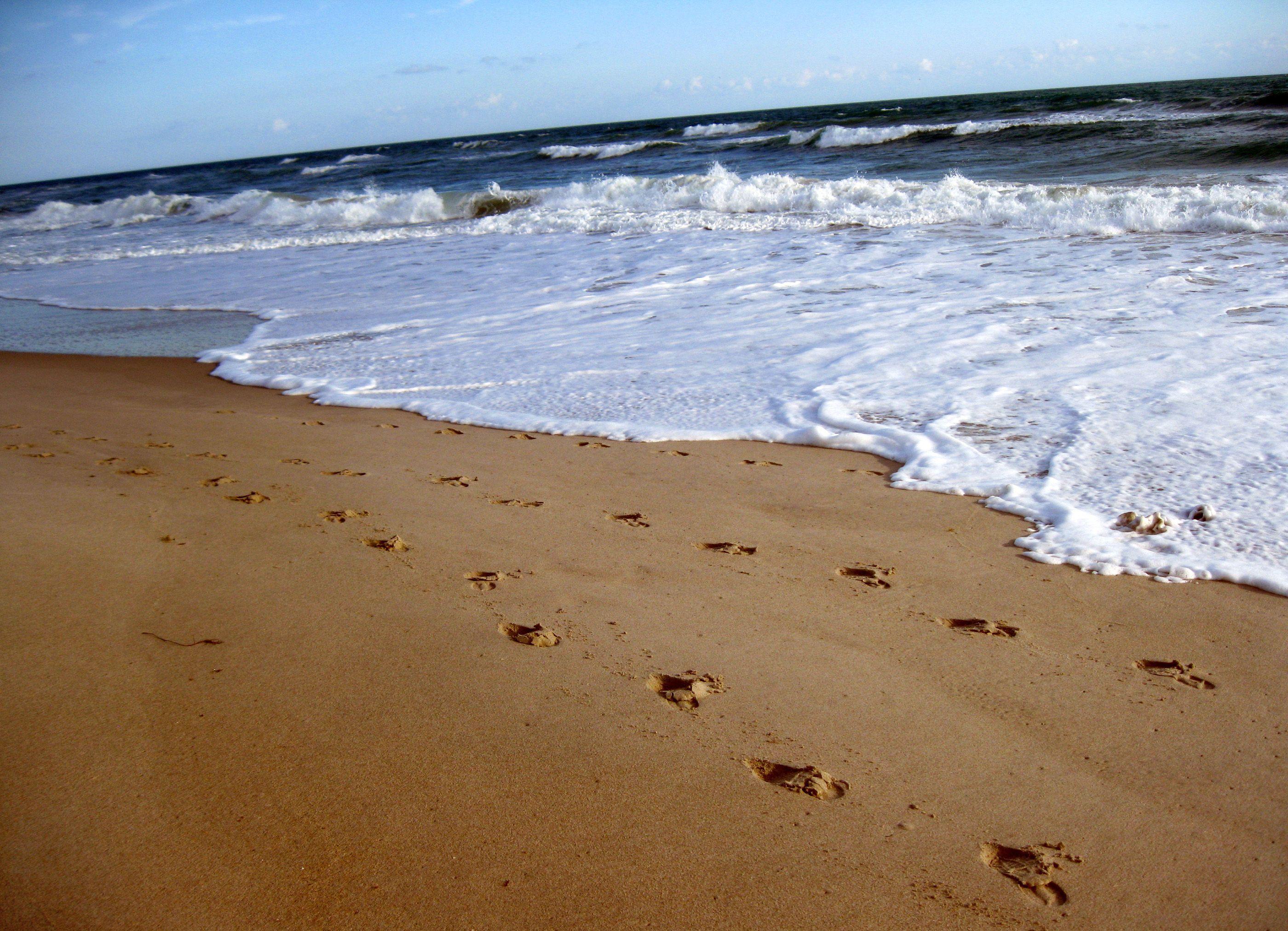 Footprints In The Sand Wallpapers