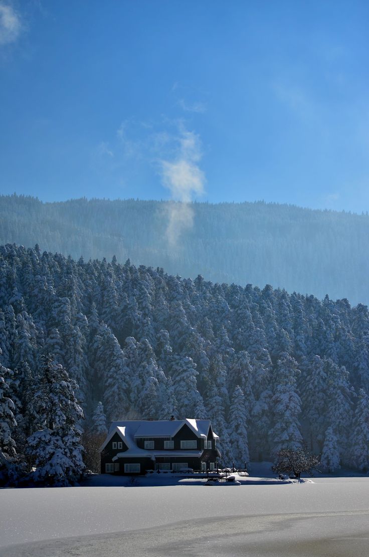 Forest House Covered In Snow 4K Wallpapers