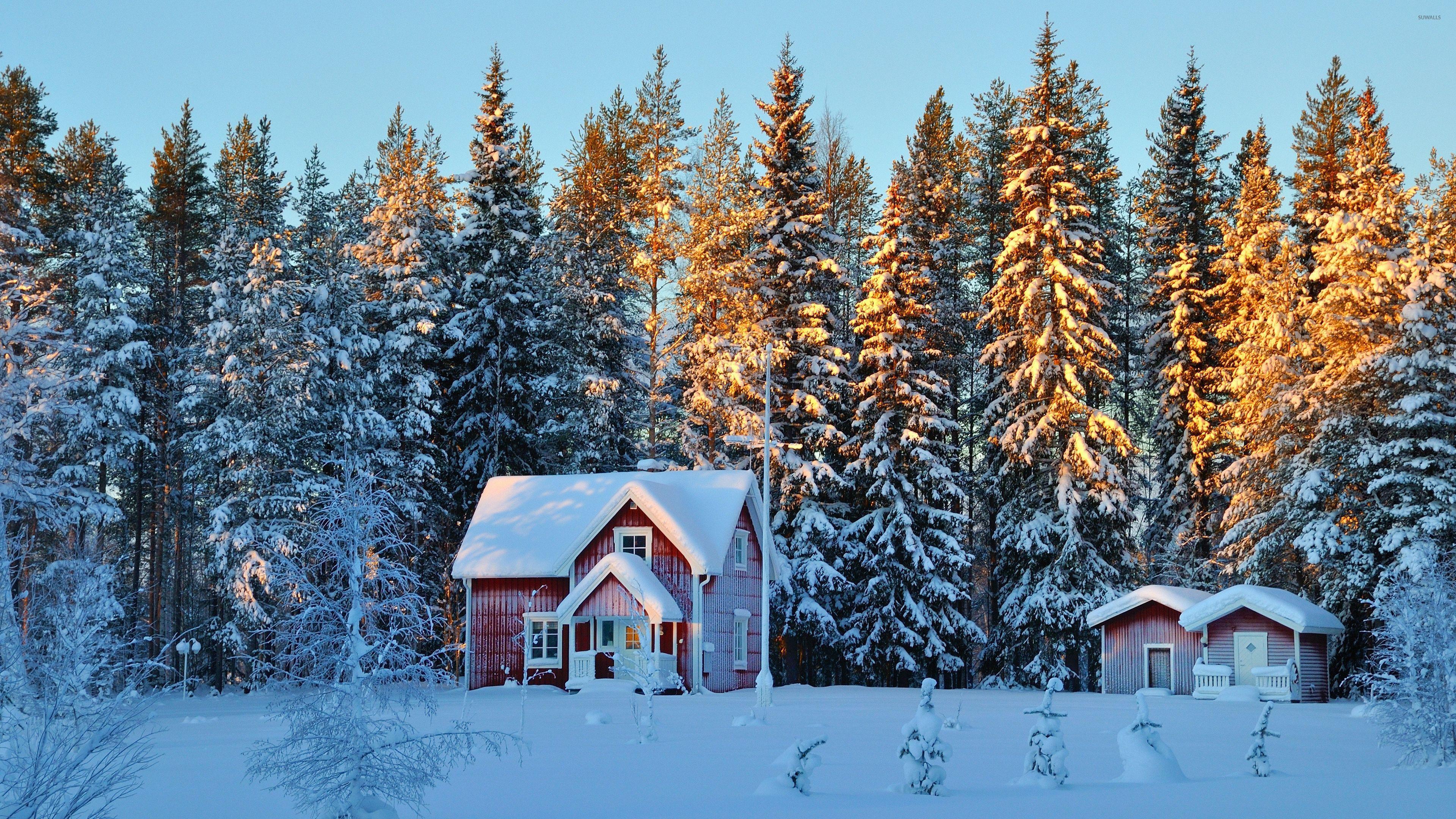 Forest House Covered In Snow 4K Wallpapers