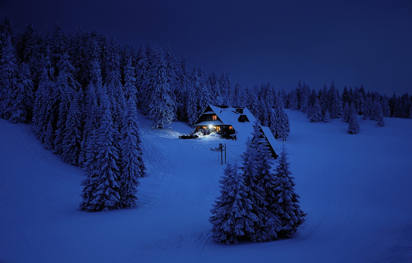 Forest House Covered In Snow 4K Wallpapers