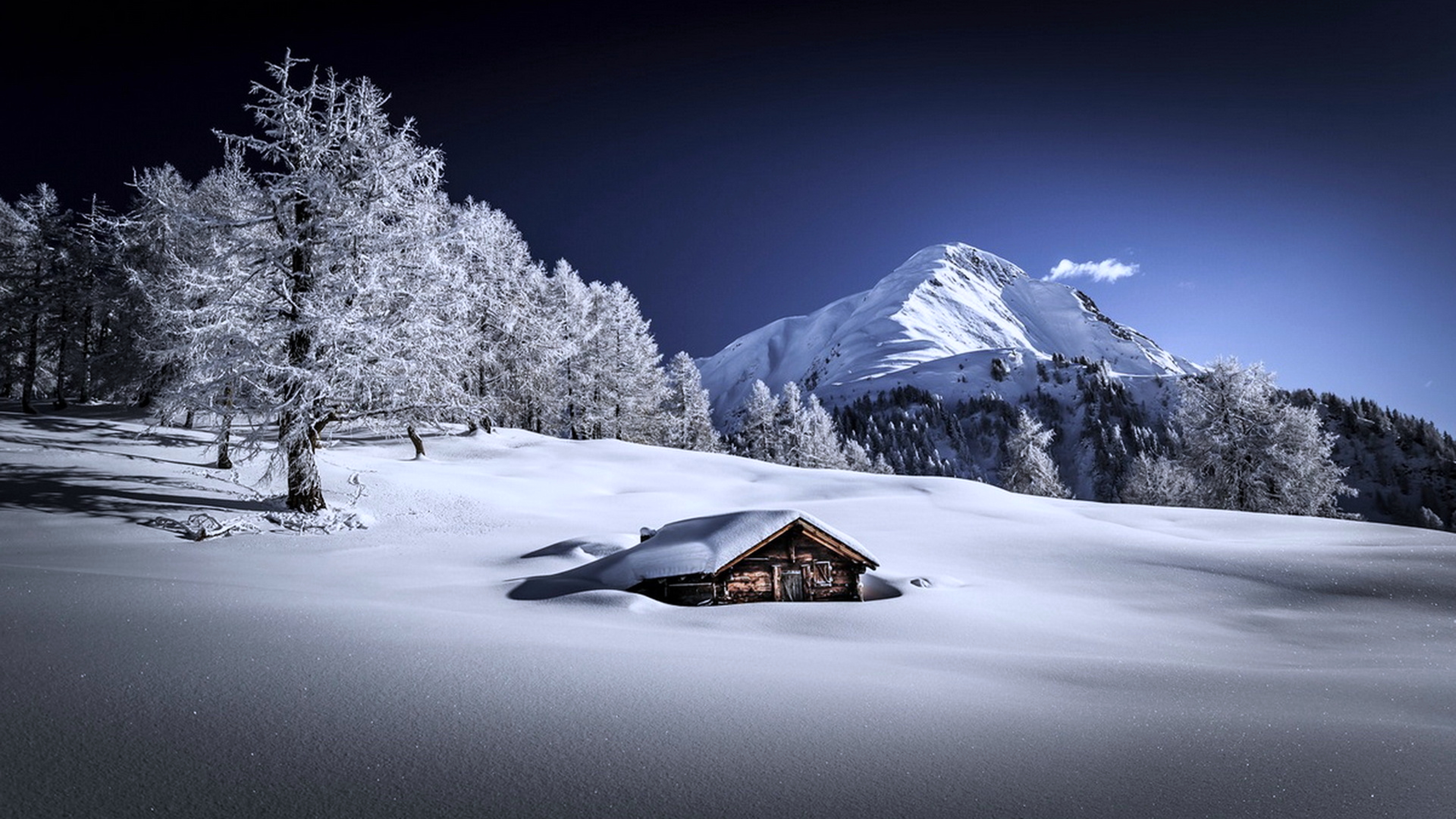 Forest House Covered In Snow 4K Wallpapers