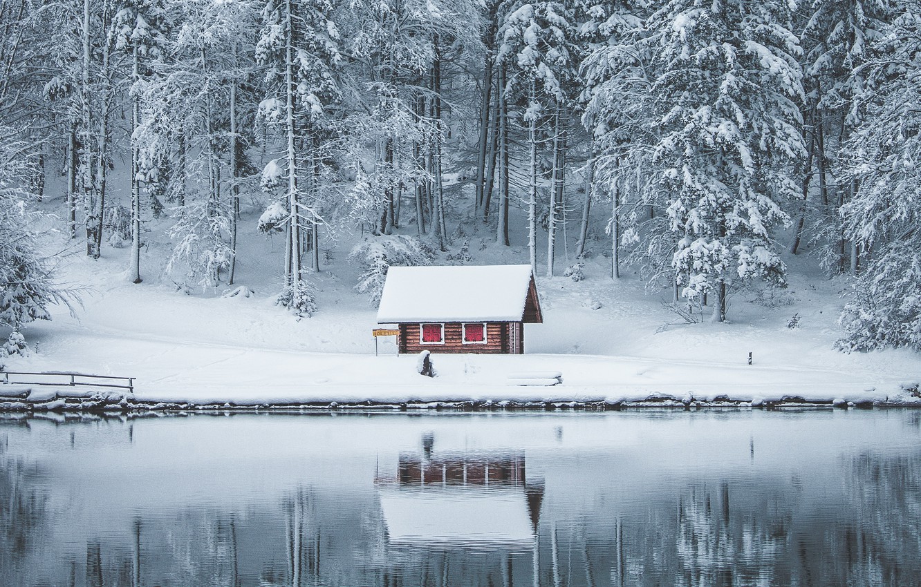 Forest House Covered In Snow 4K Wallpapers