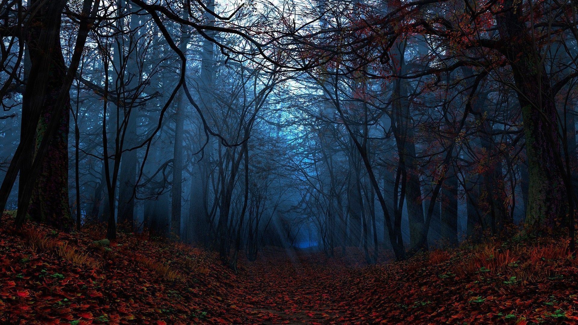 Forest In Autumn Wallpapers