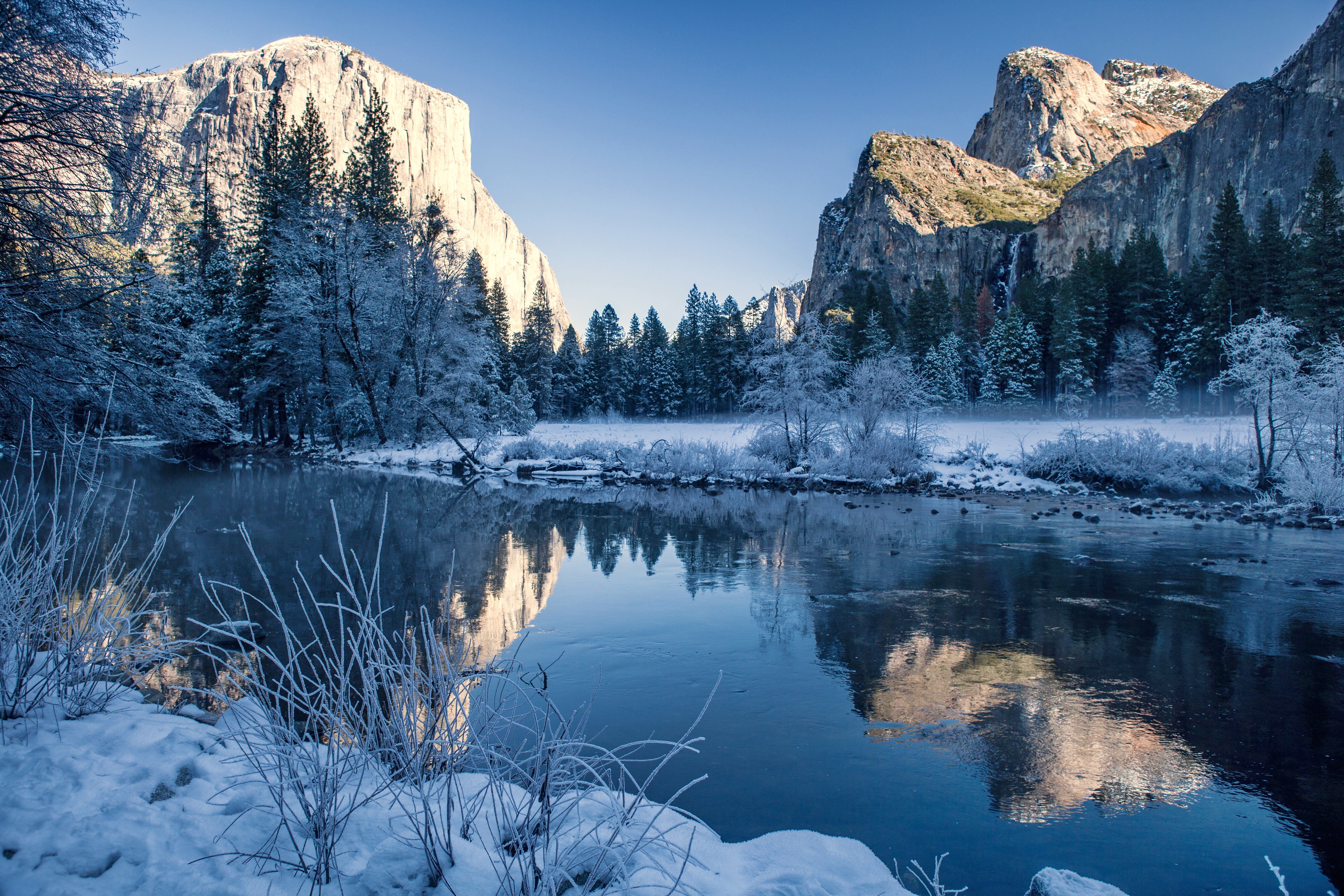 Forest Lake Mountains Snow Wallpapers