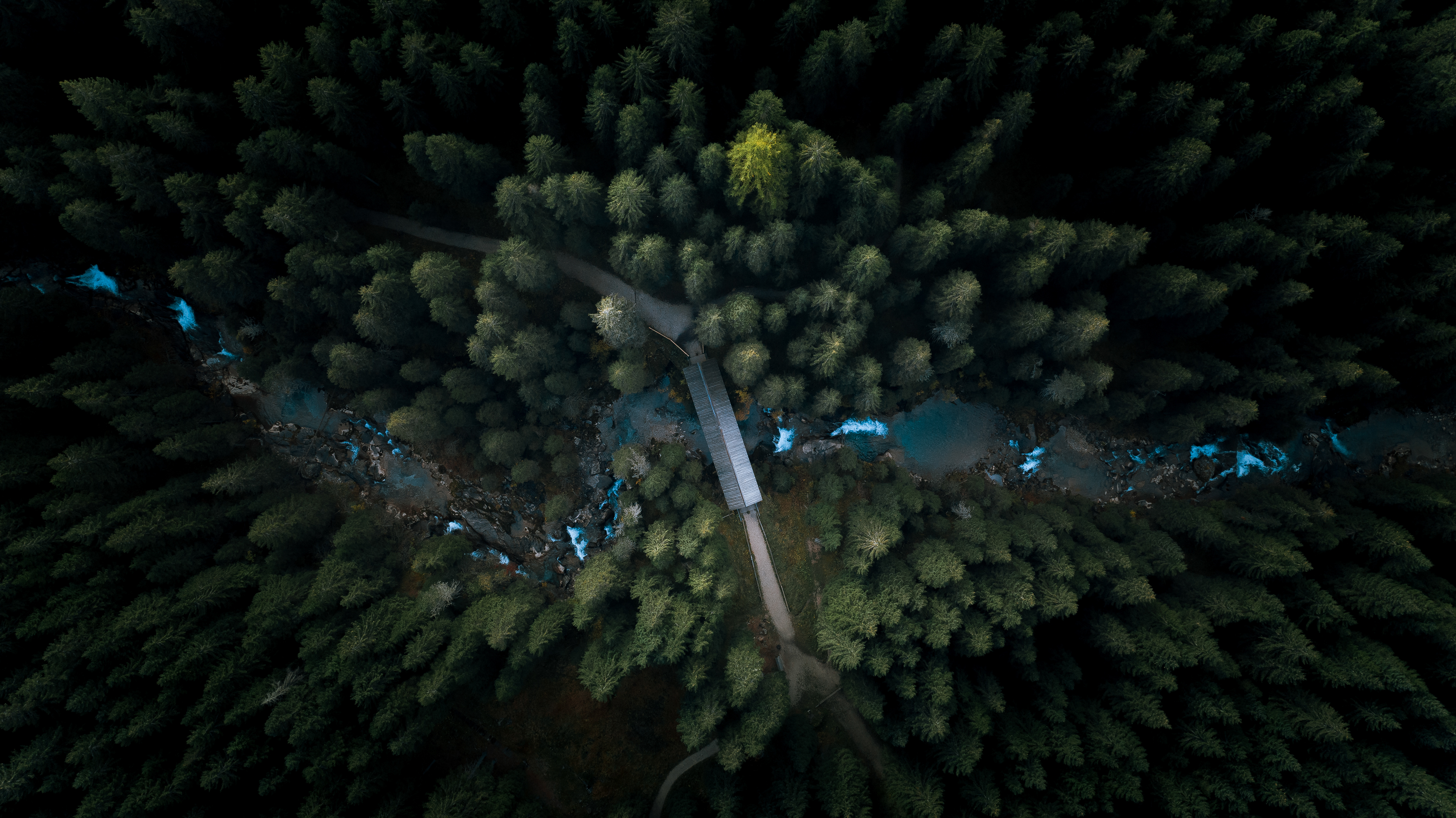 Forest Landscape Hd Aerial View Wallpapers