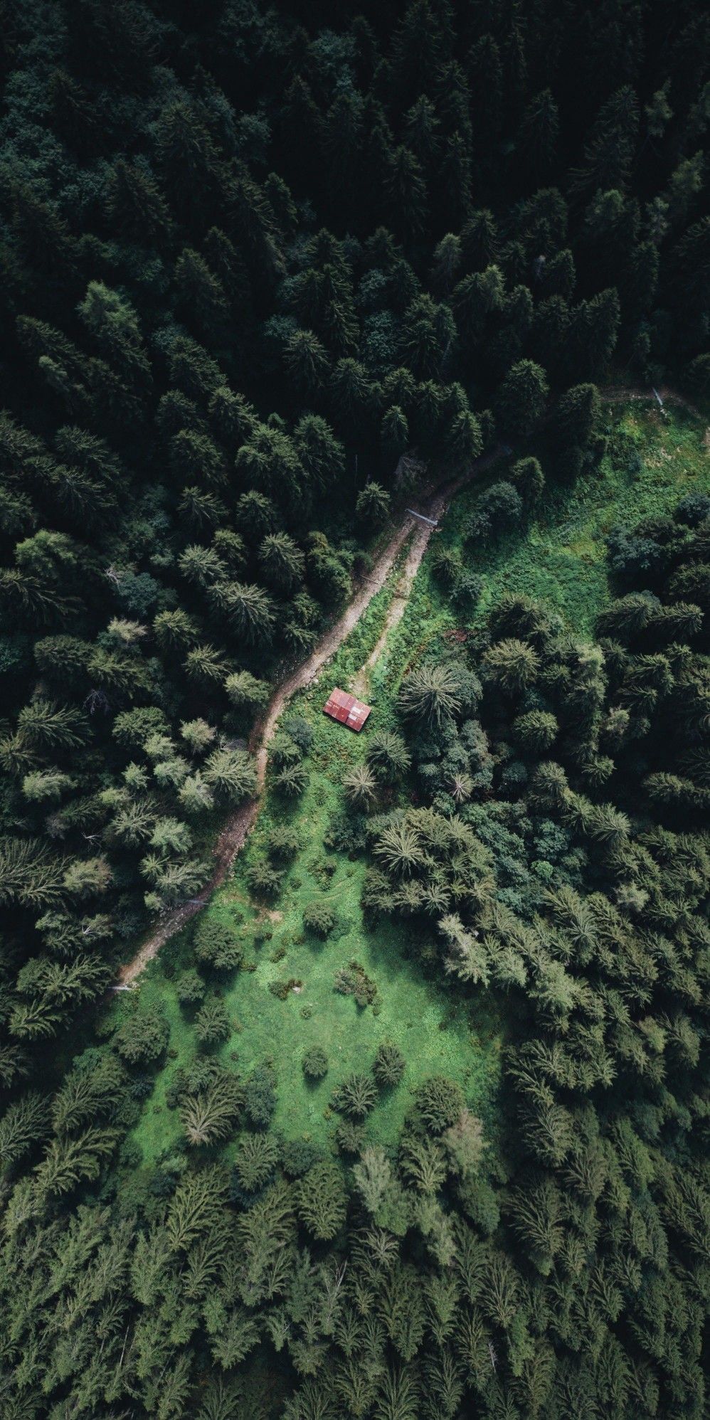 Forest Landscape Hd Aerial View Wallpapers