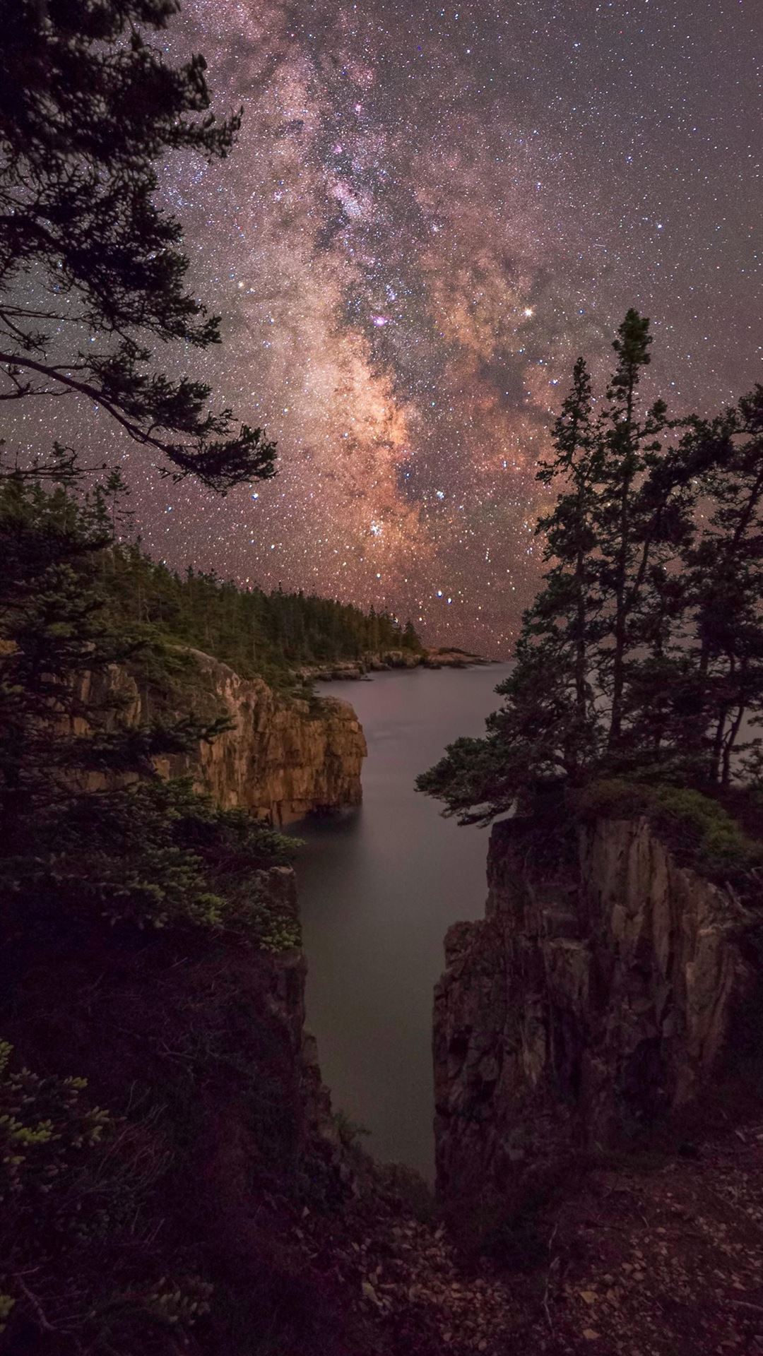 Forest Milky Way Night Reflection Over River Wallpapers