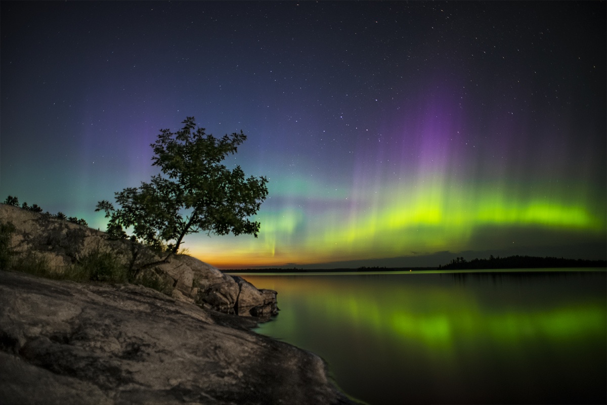 Forest Milky Way Night Reflection Over River Wallpapers