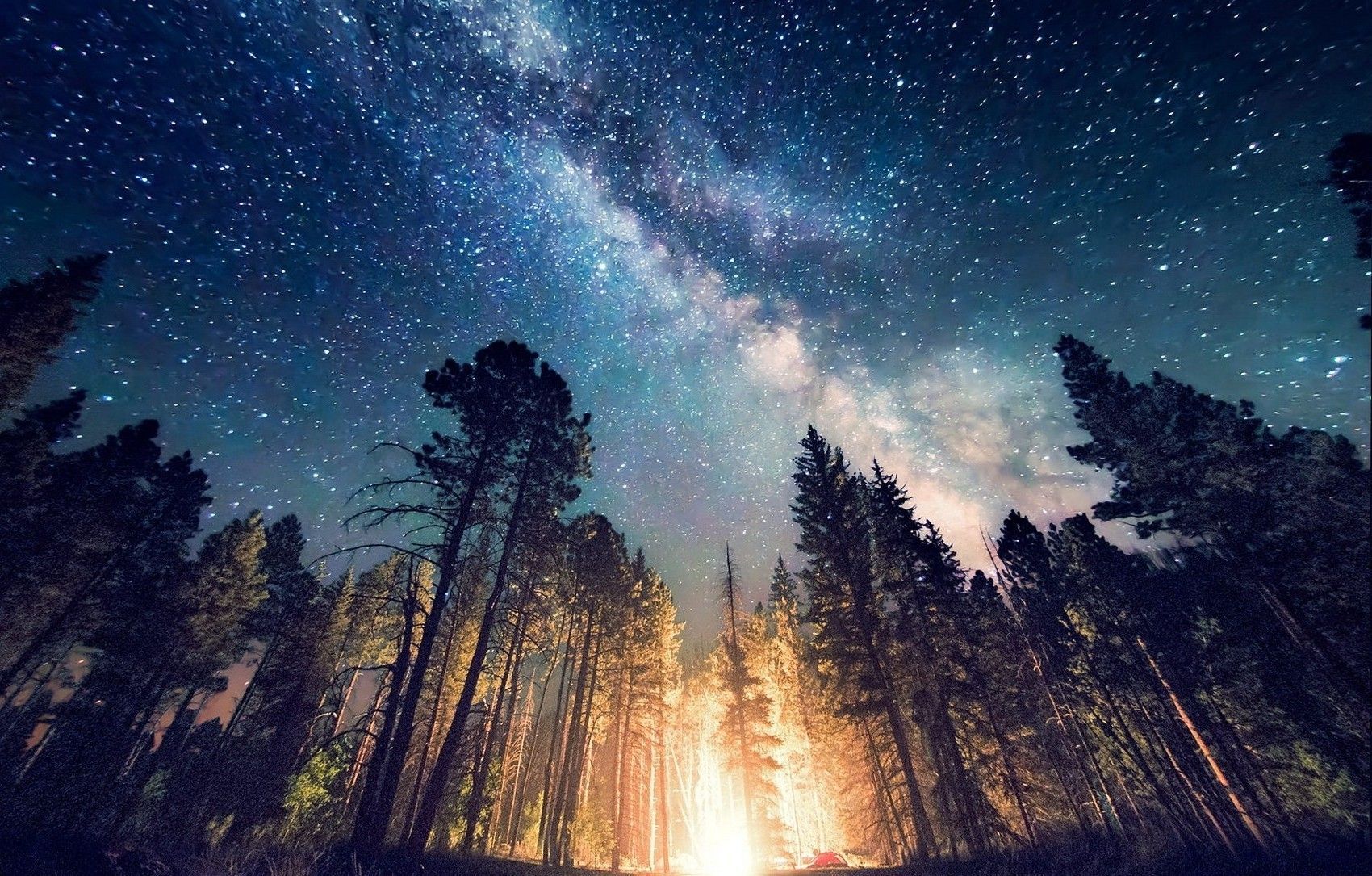 Forest Milky Way Night Reflection Over River Wallpapers