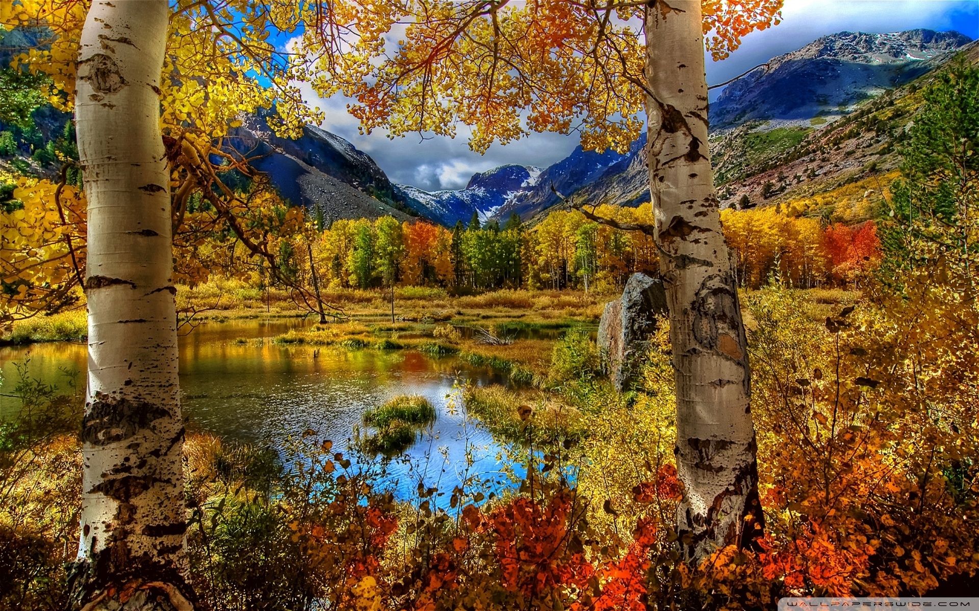 Forest Mountains And Landscape Fall Wallpapers