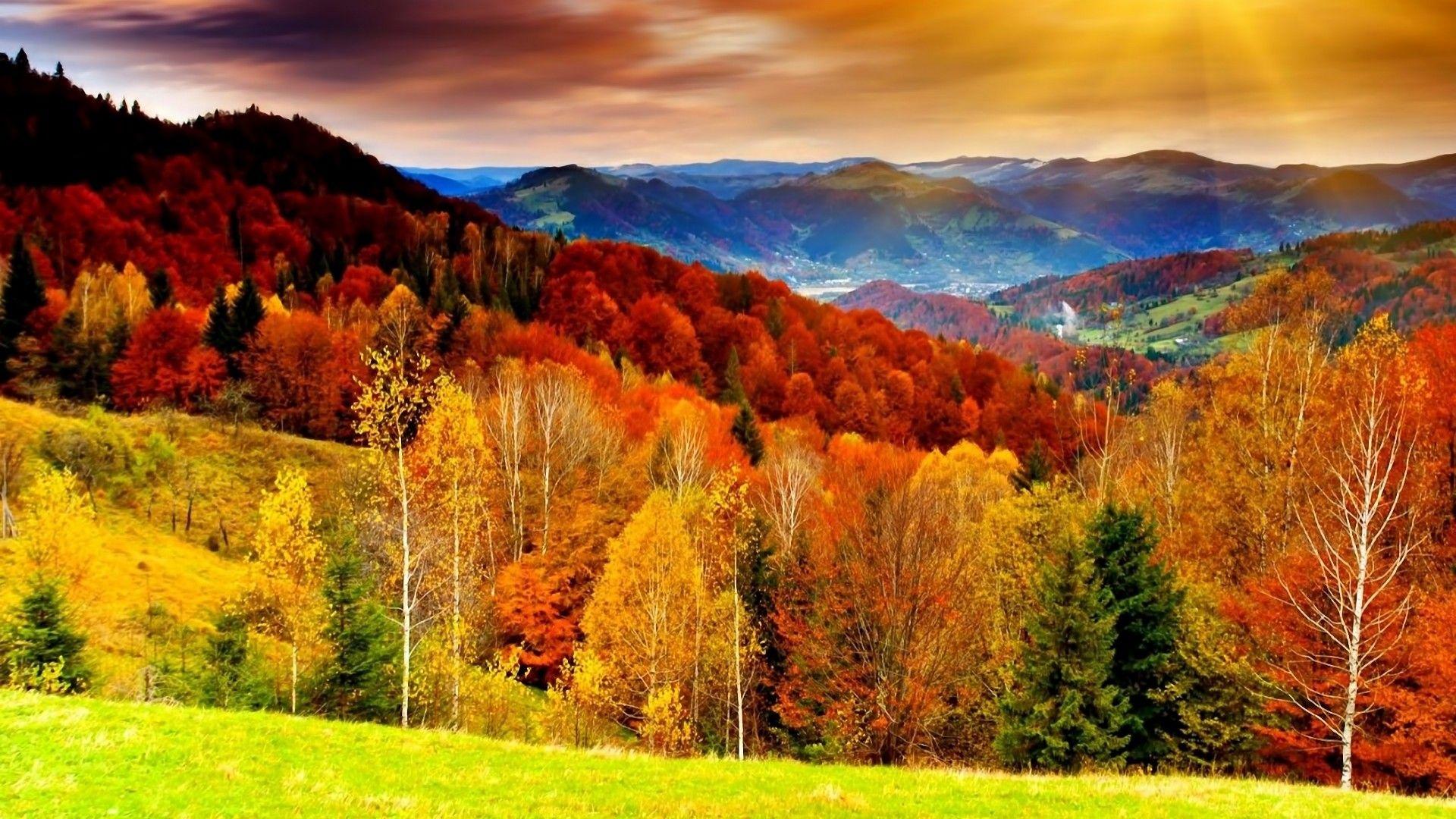 Forest Mountains And Landscape Fall Wallpapers