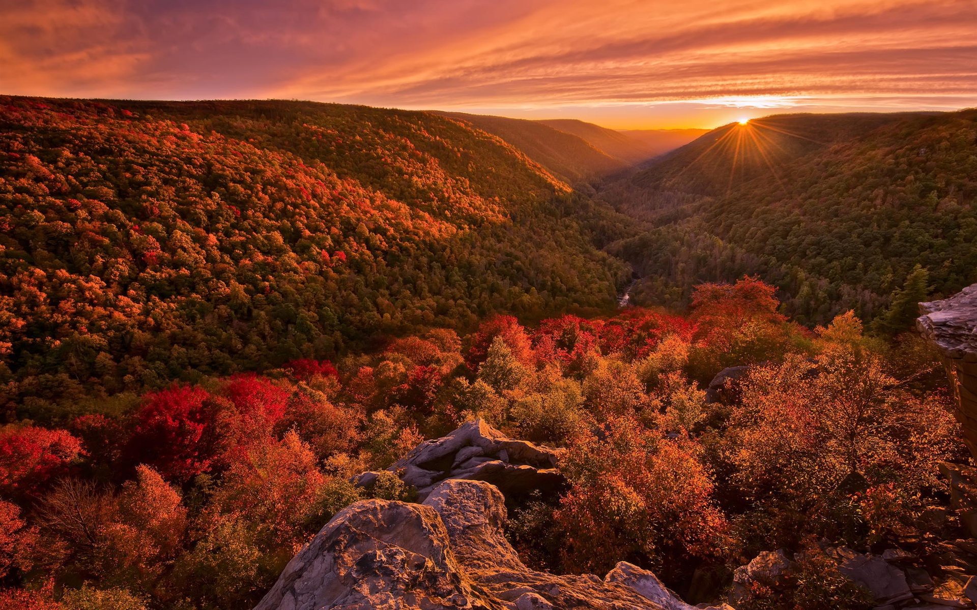 Forest Mountains And Landscape Fall Wallpapers