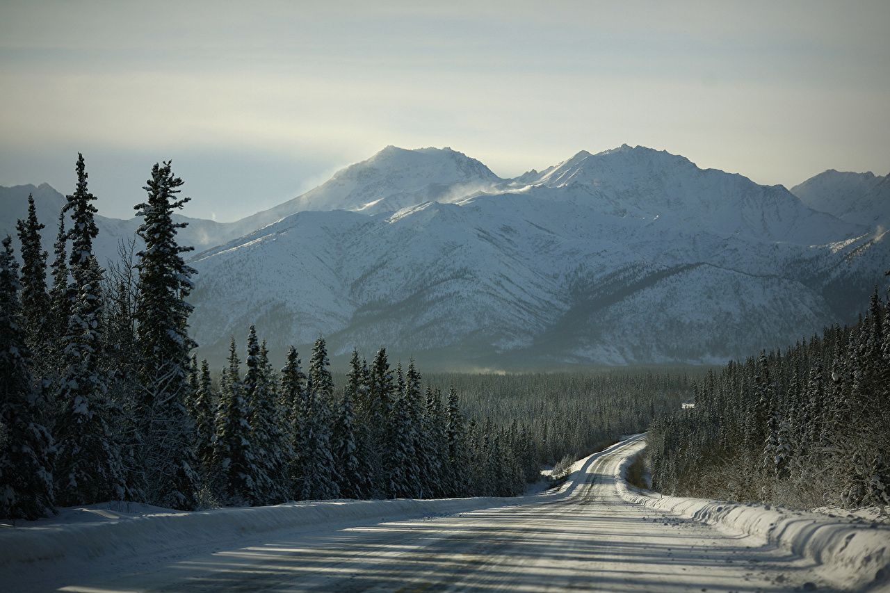 Forest Road In Winter Wallpapers