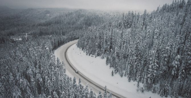 Forest Road In Winter Wallpapers