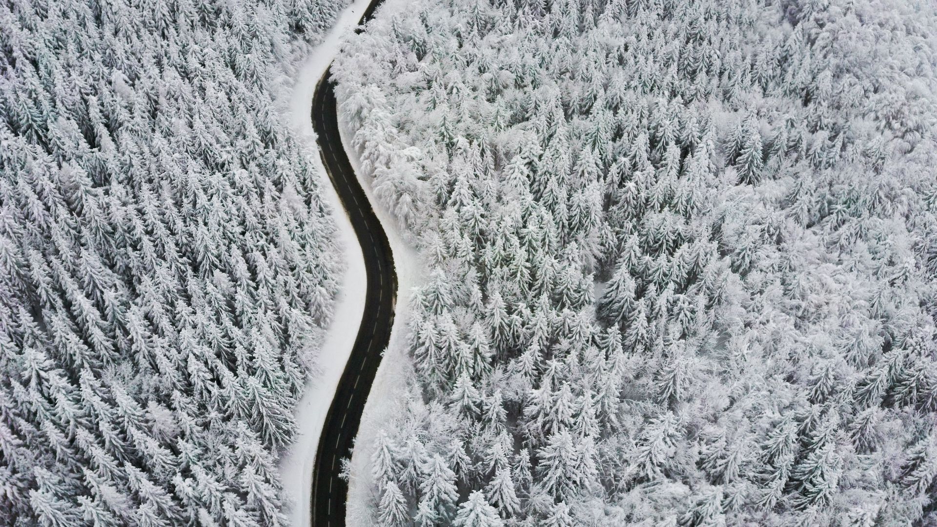 Forest Road In Winter Wallpapers