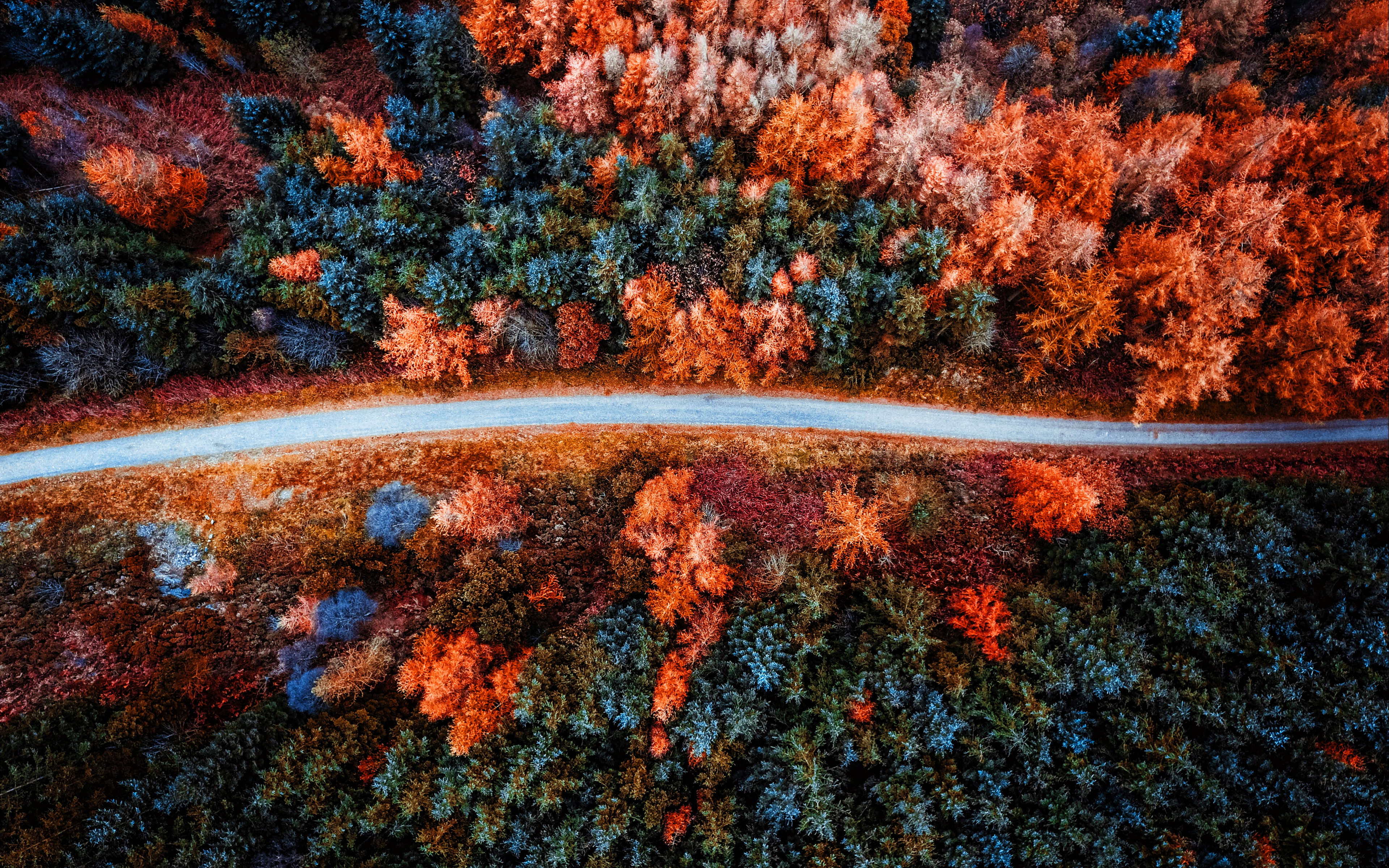 Forest Road Photography Aerial 4K Wallpapers