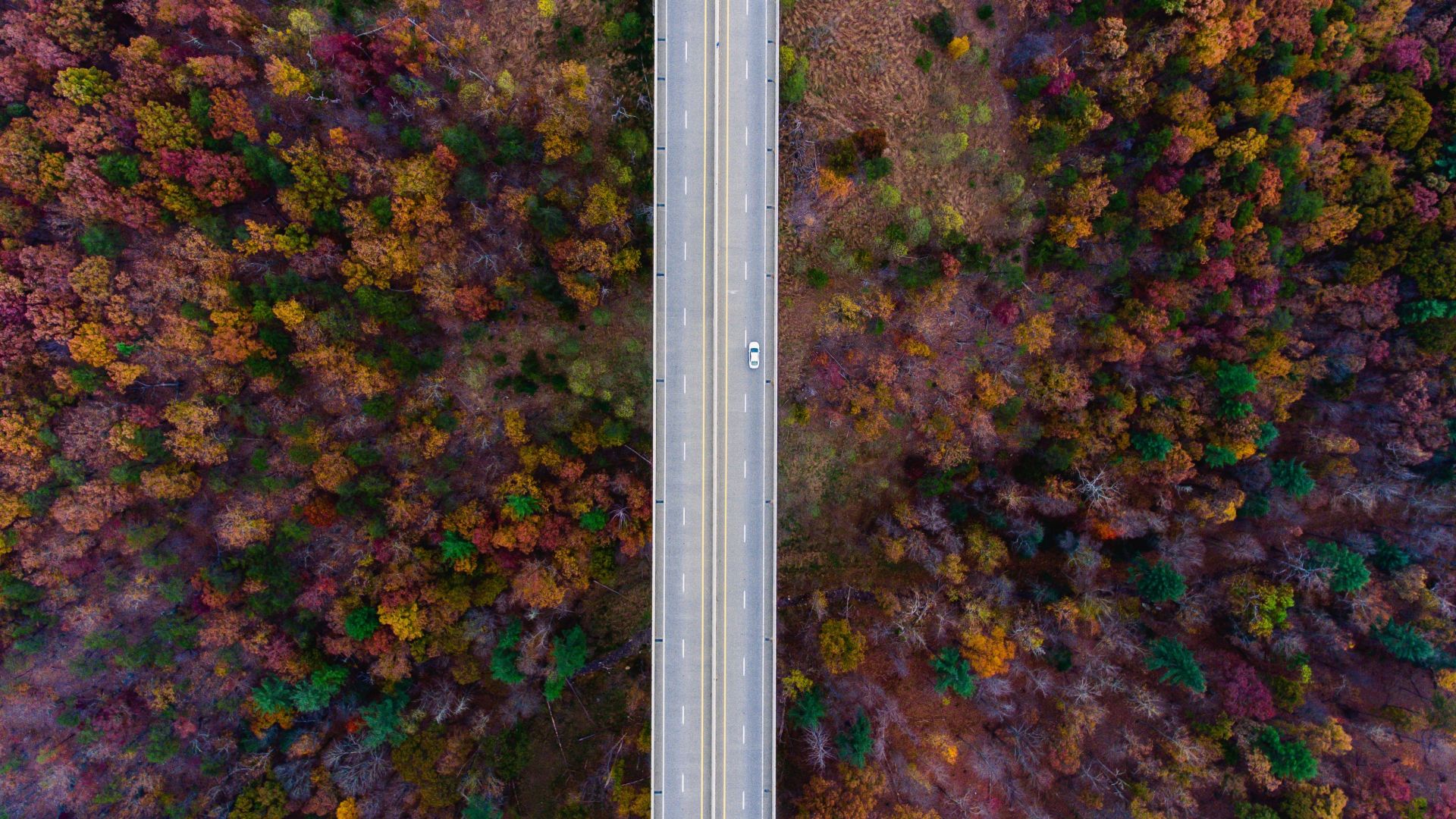 Forest Road Photography Aerial 4K Wallpapers