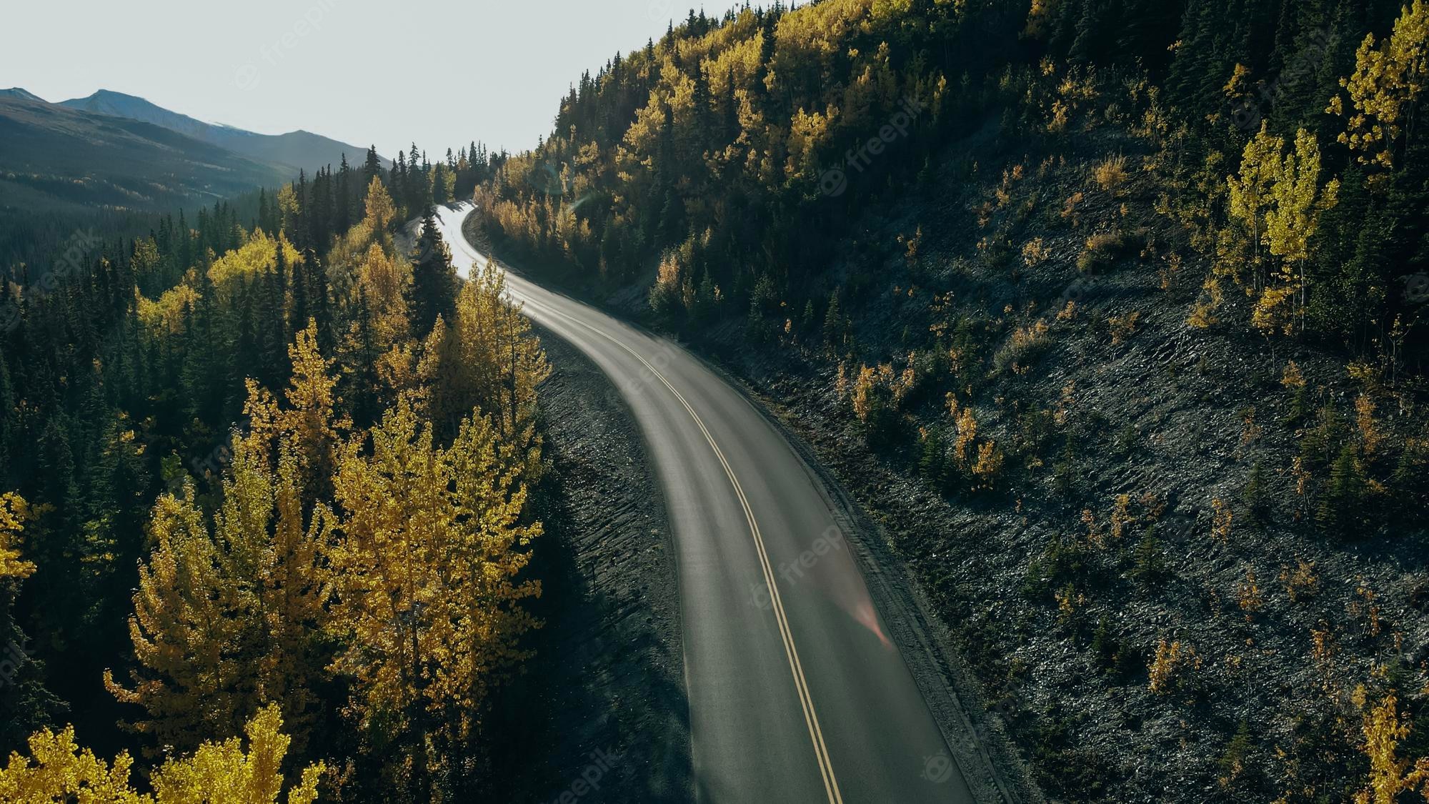 Forest Road Photography Aerial 4K Wallpapers