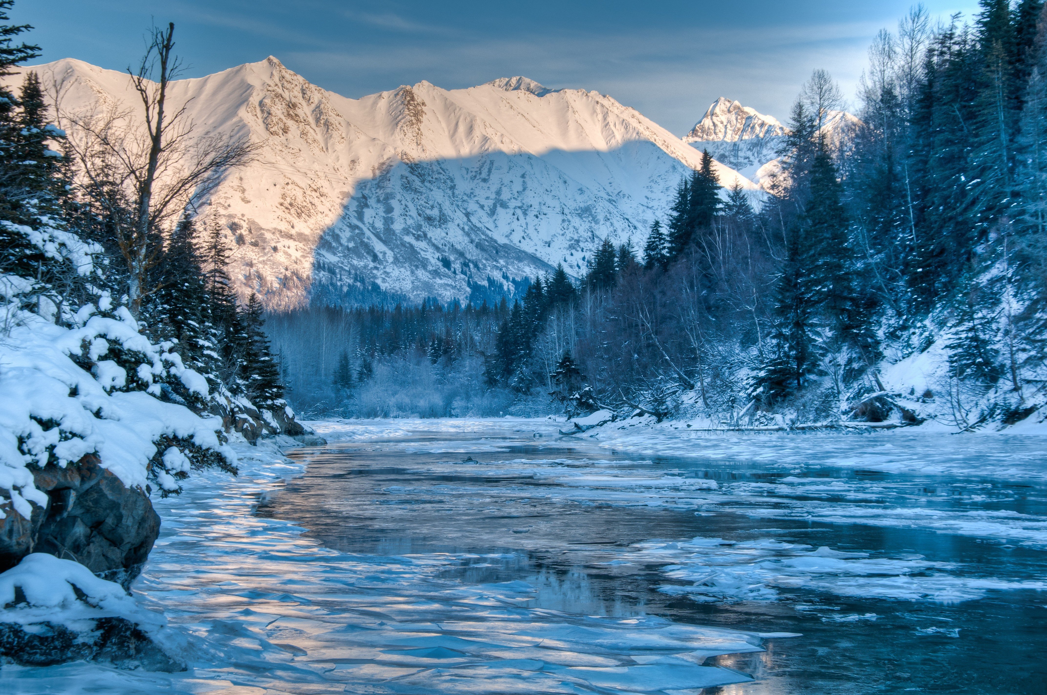 Forest Snowy Winter Mountains Wallpapers