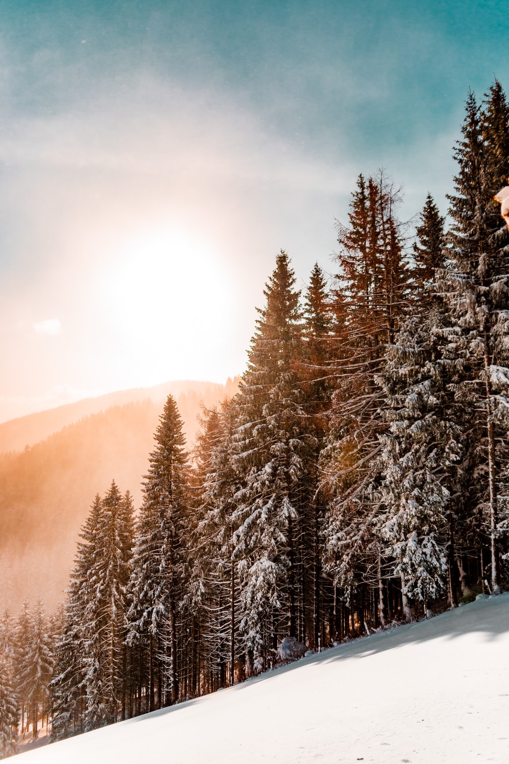 Forest Snowy Winter Mountains Wallpapers