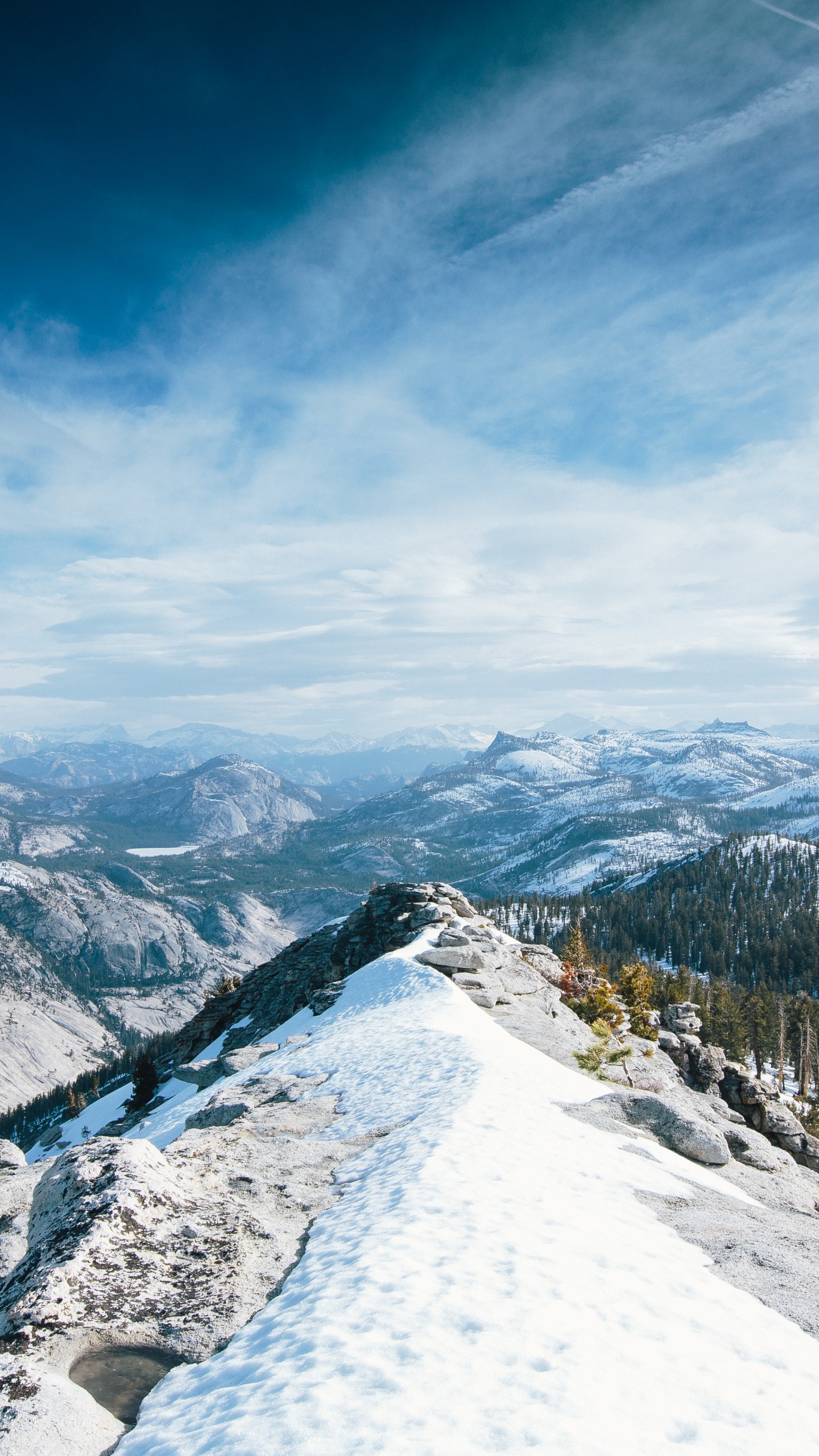 Forest Snowy Winter Mountains Wallpapers