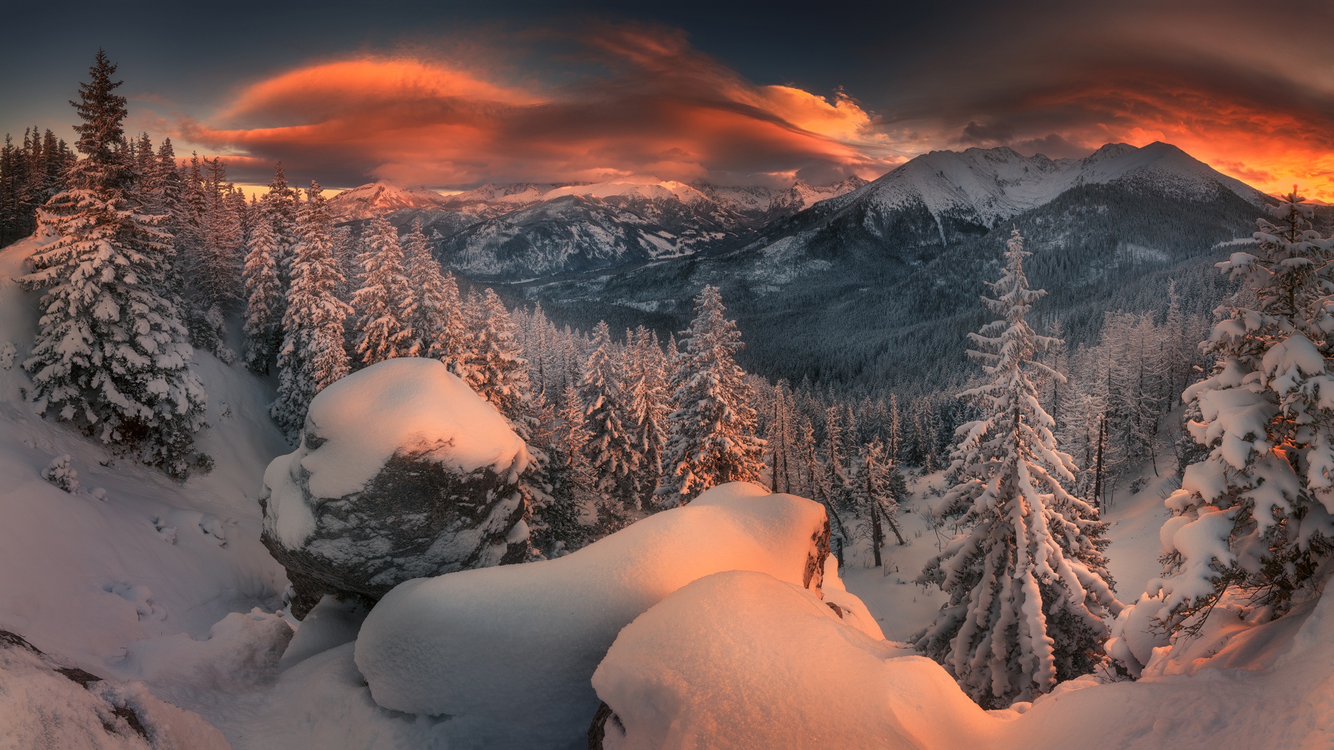 Forest Snowy Winter Mountains Wallpapers