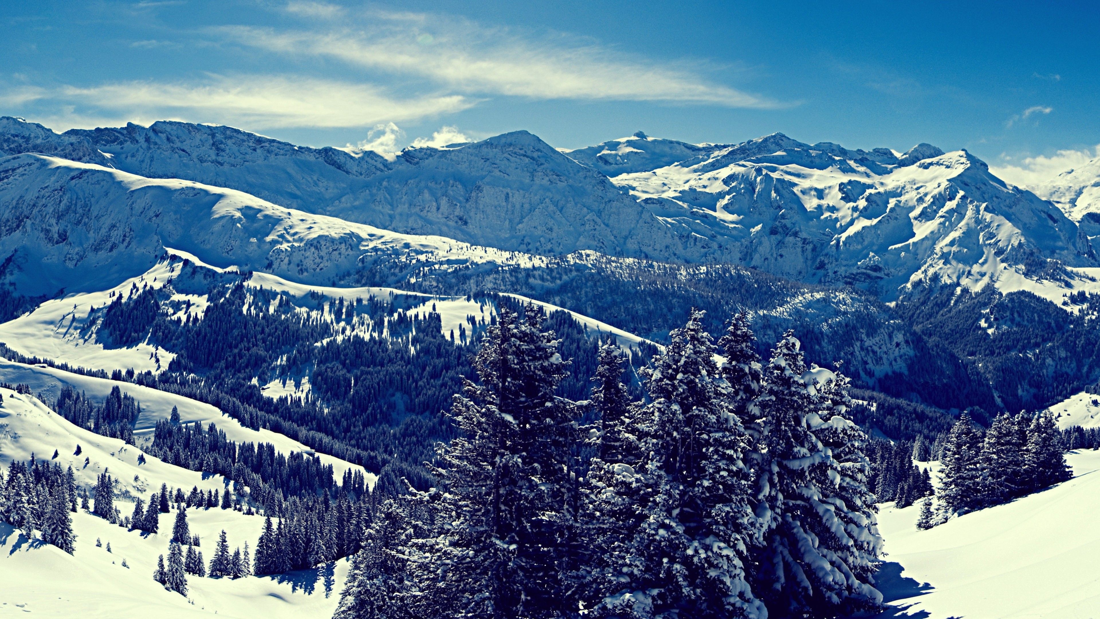 Forest Snowy Winter Mountains Wallpapers