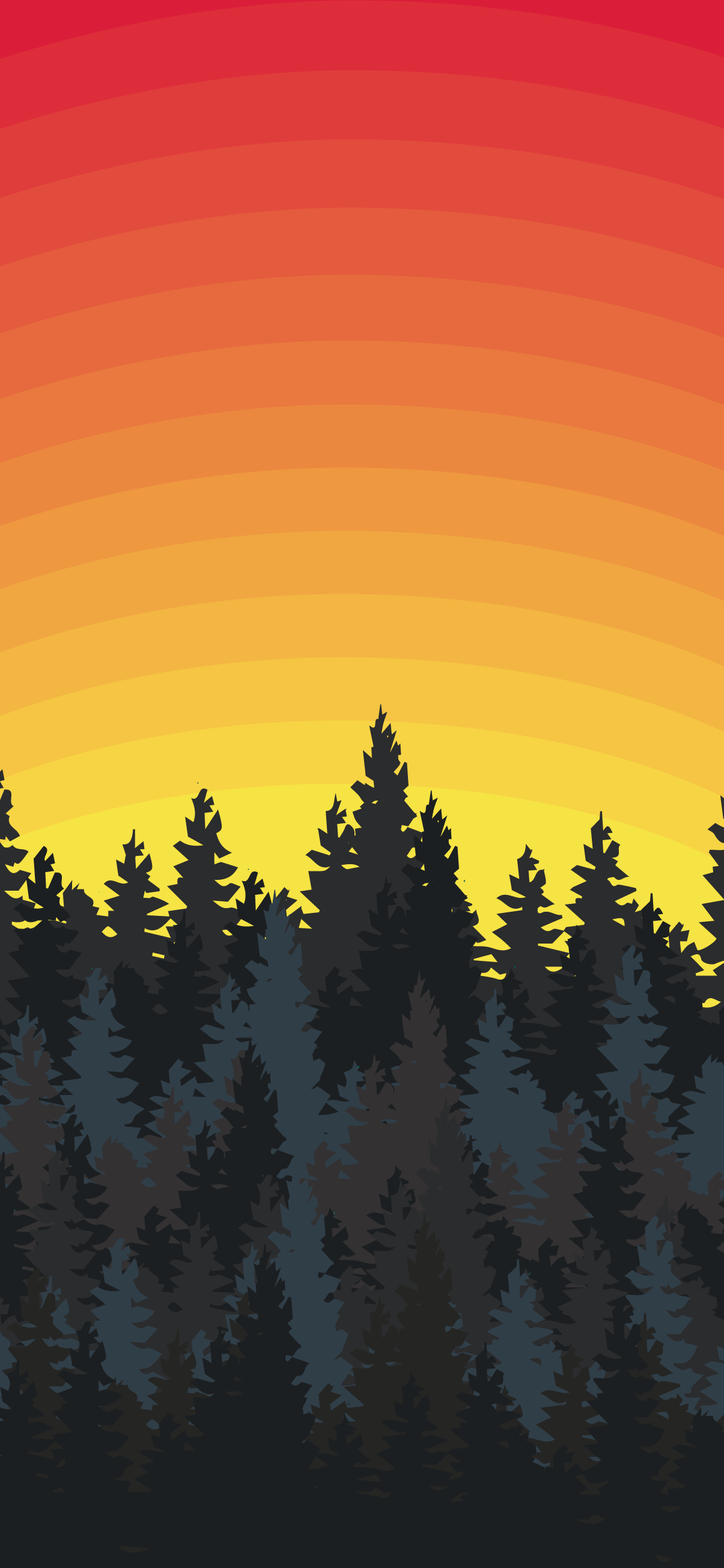 Forest Sunset Wallpapers