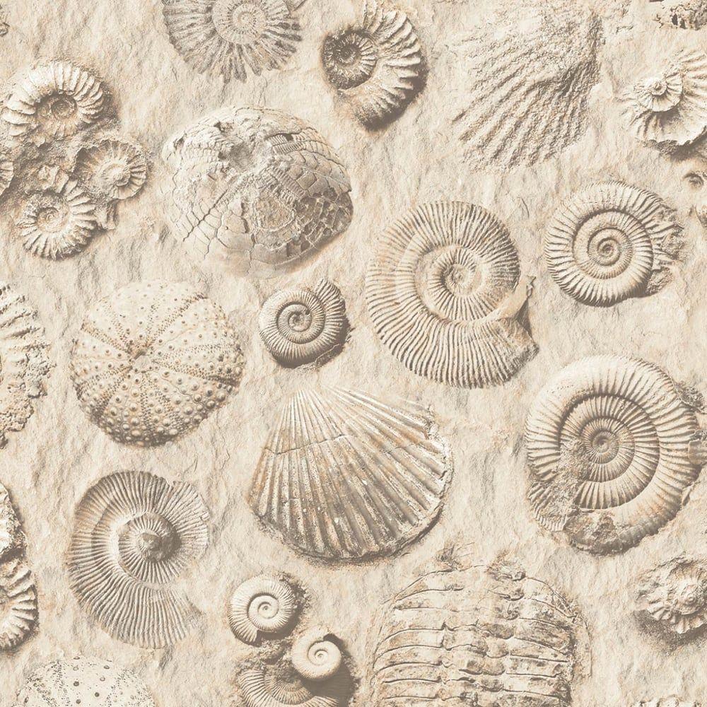 Fossil Wallpapers