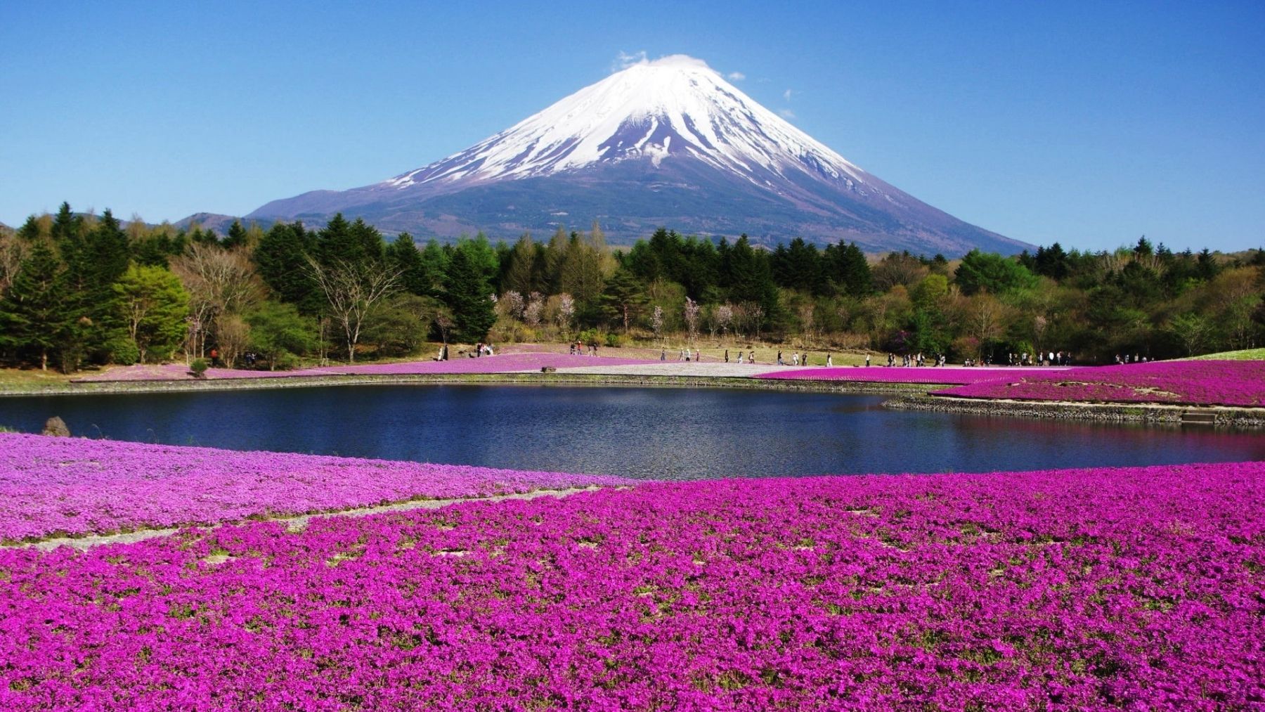 Fujiyama Japan Wallpapers