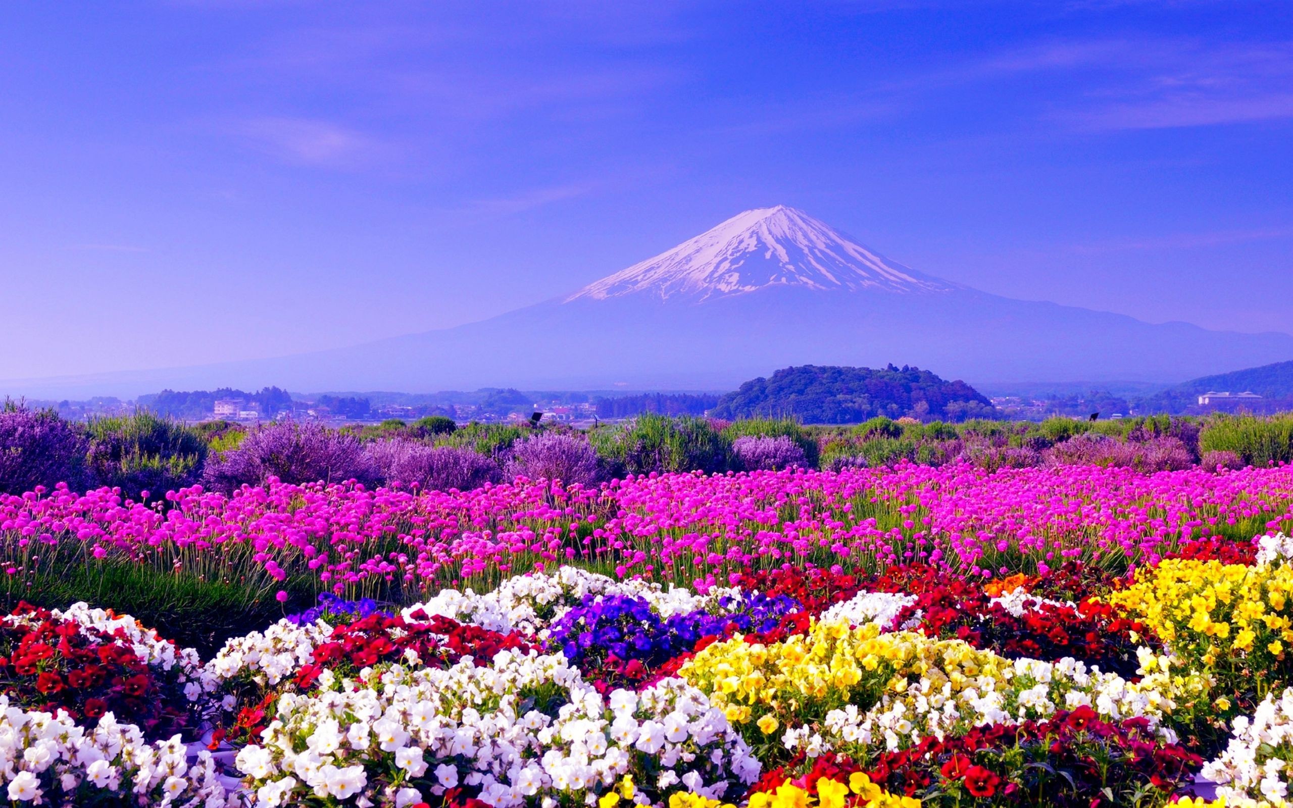 Fujiyama Japan Wallpapers