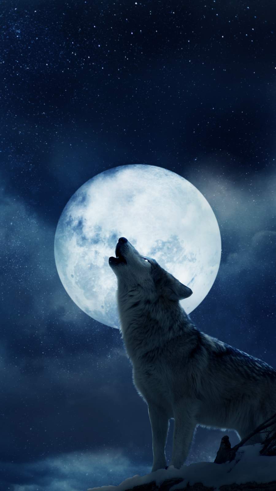 Full Moon Wallpapers