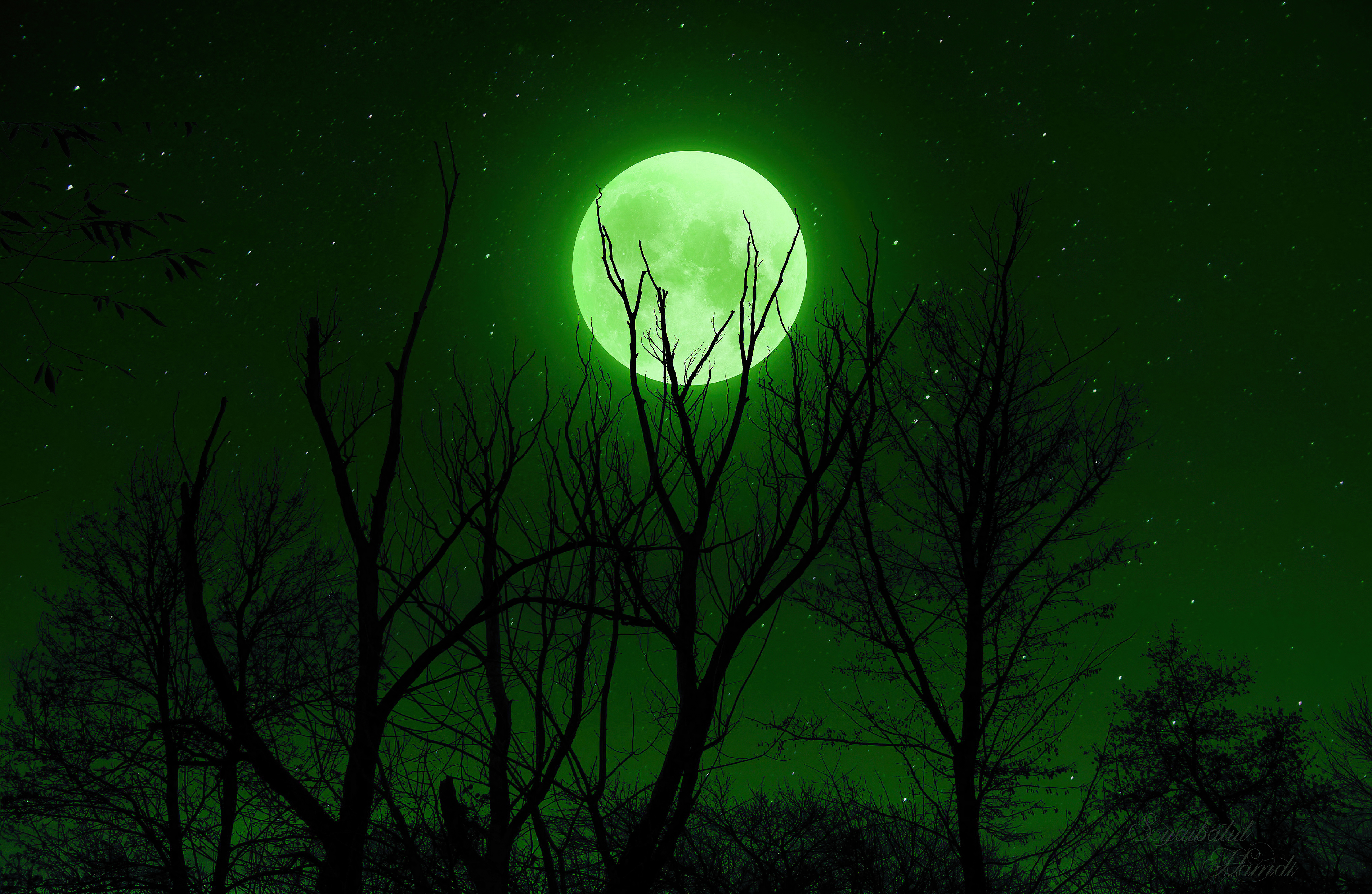 Full Moon Wallpapers