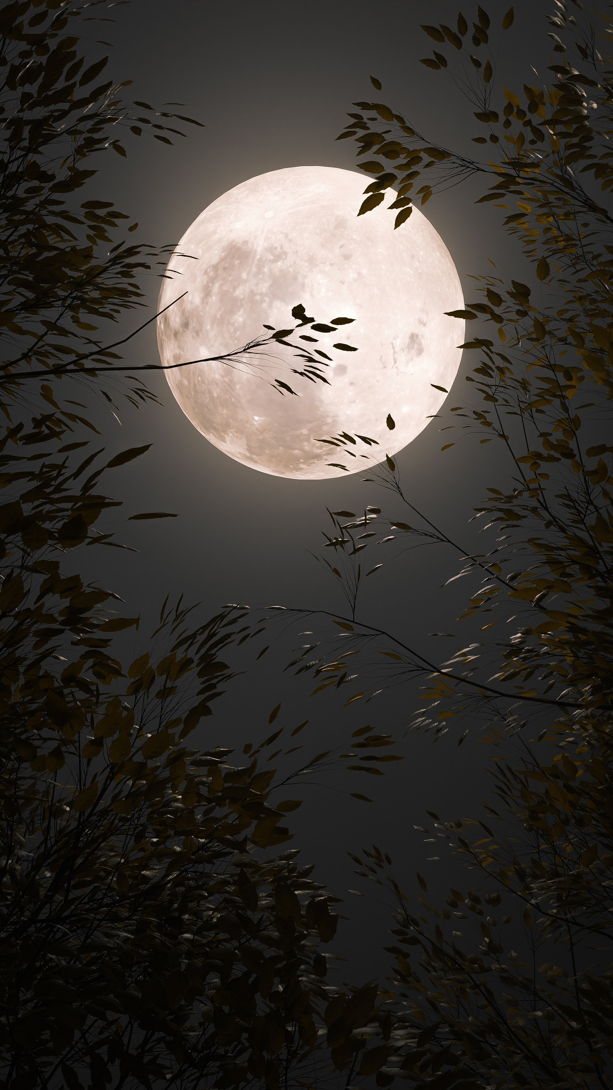 Full Moon Wallpapers