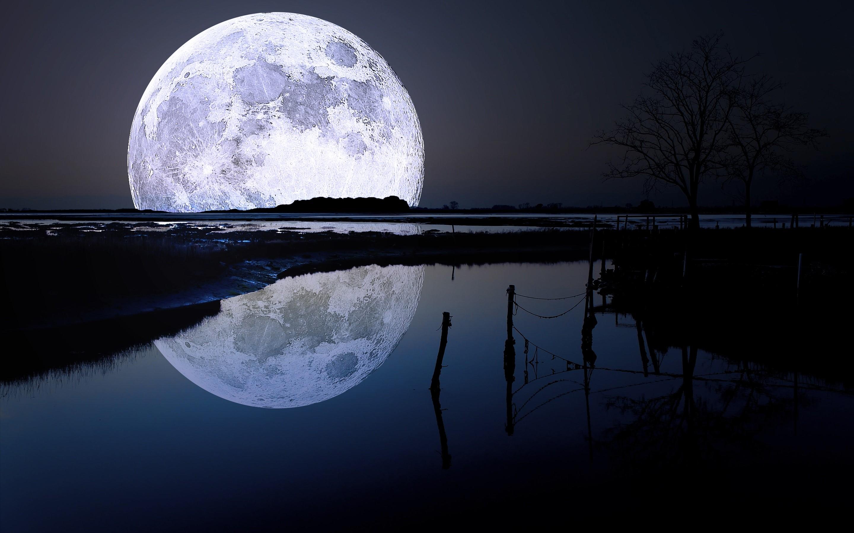 Full Moon Night Near Lake Wallpapers
