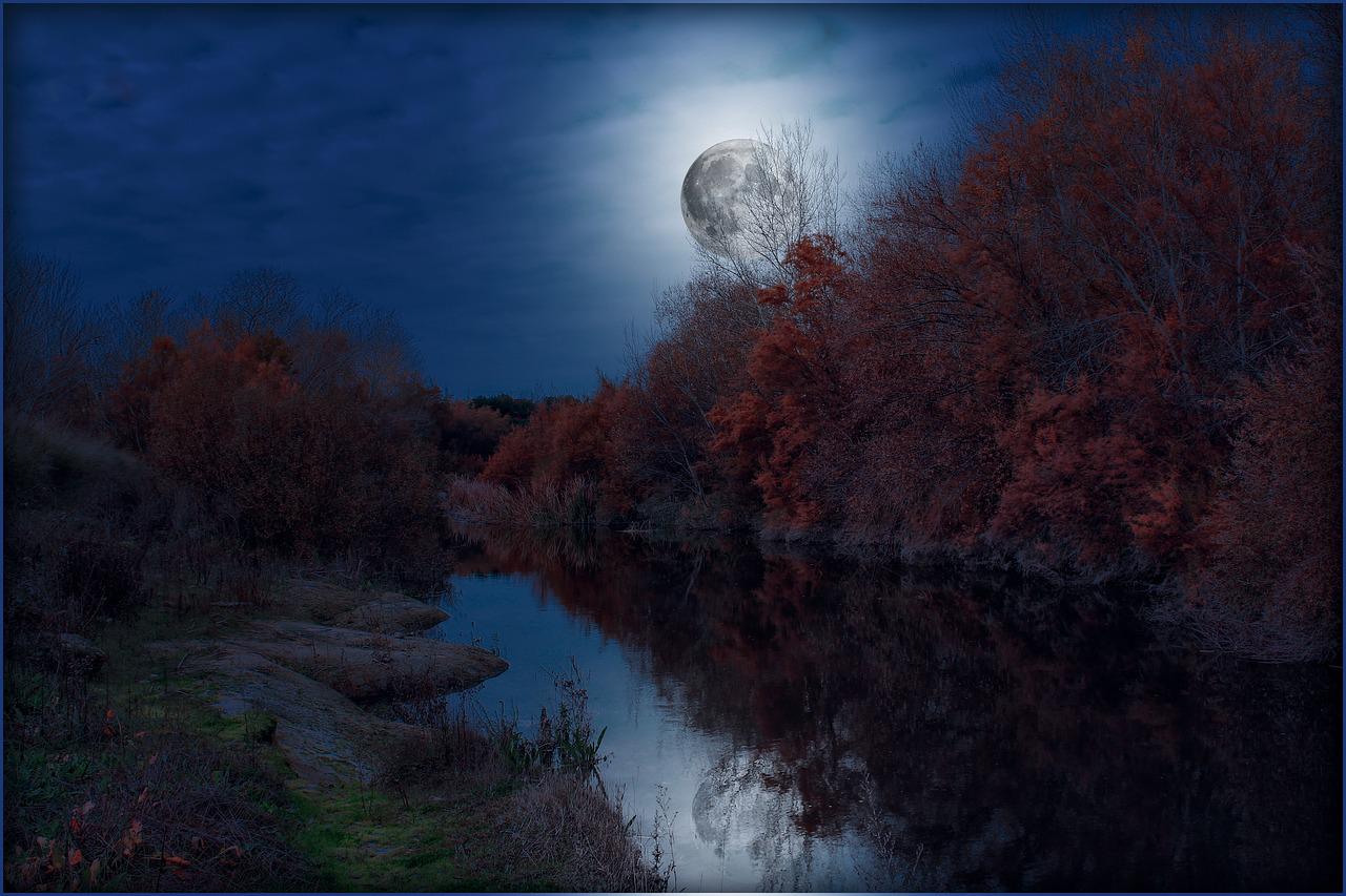 Full Moon Night Near Lake Wallpapers