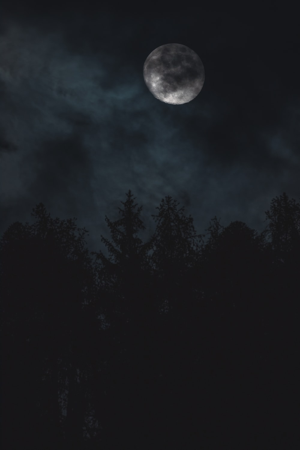 Full Moon On Foggy Night Wallpapers