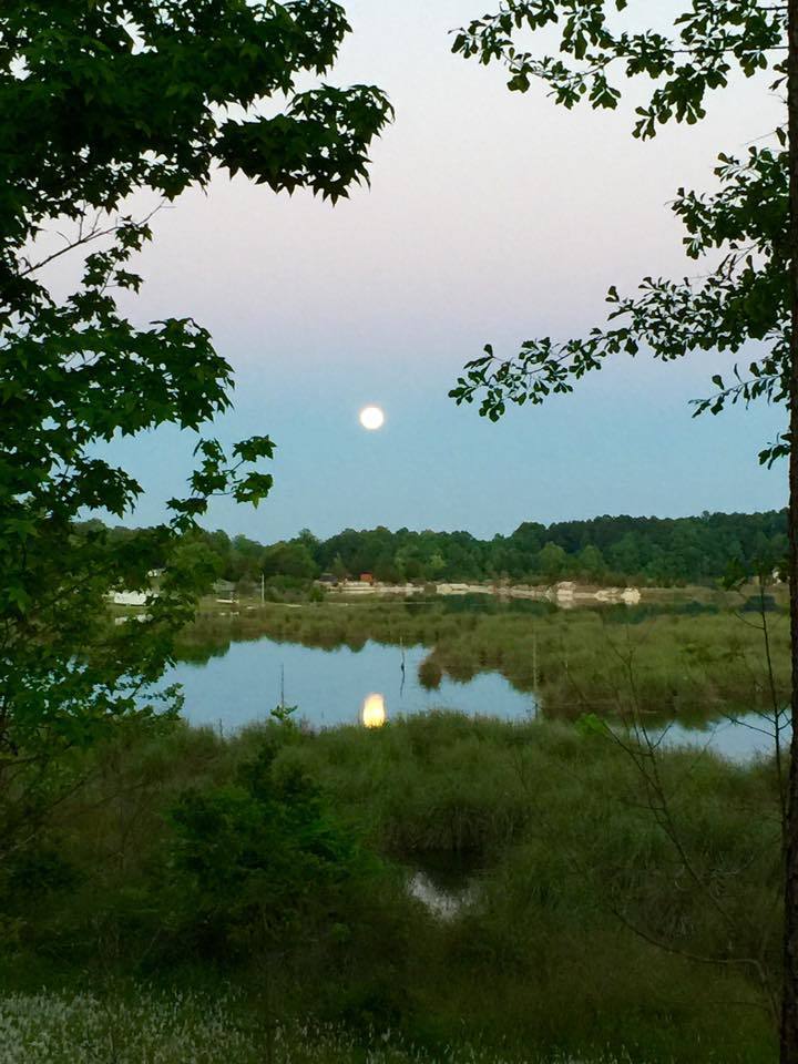 Full Moon Over Lakeside Cabin Wallpapers