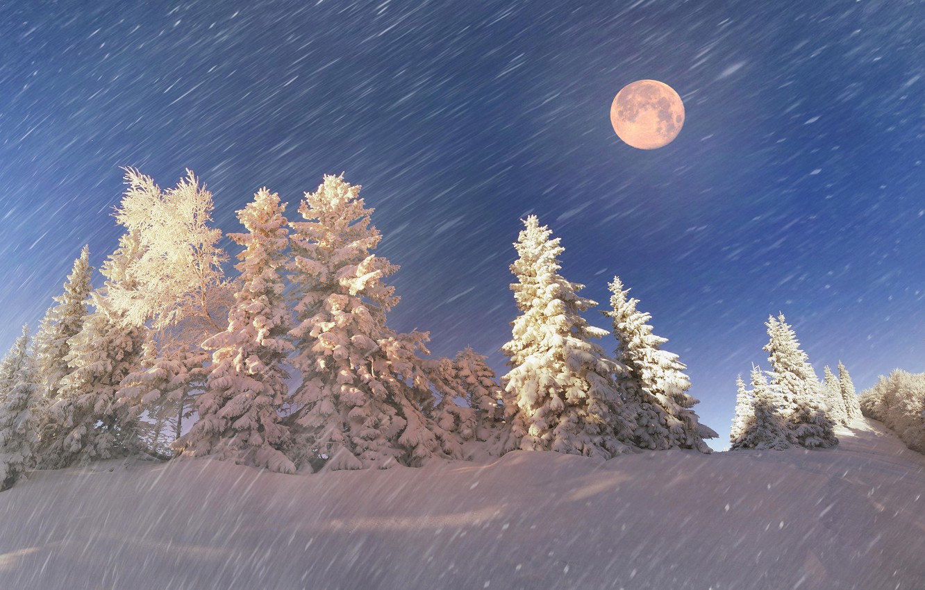 Full Moon Over Winter Forest Wallpapers