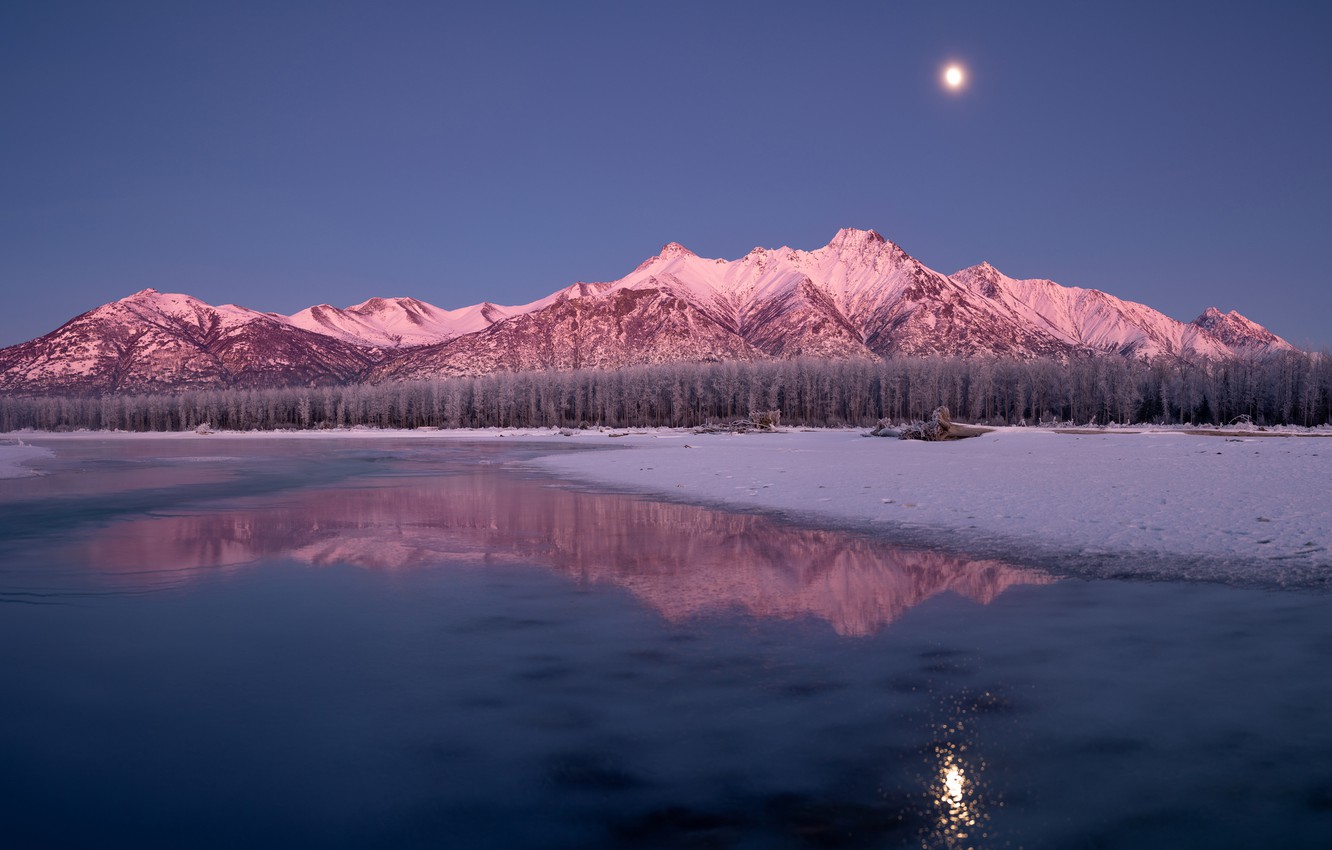 Full Moon Over Winter Forest Wallpapers